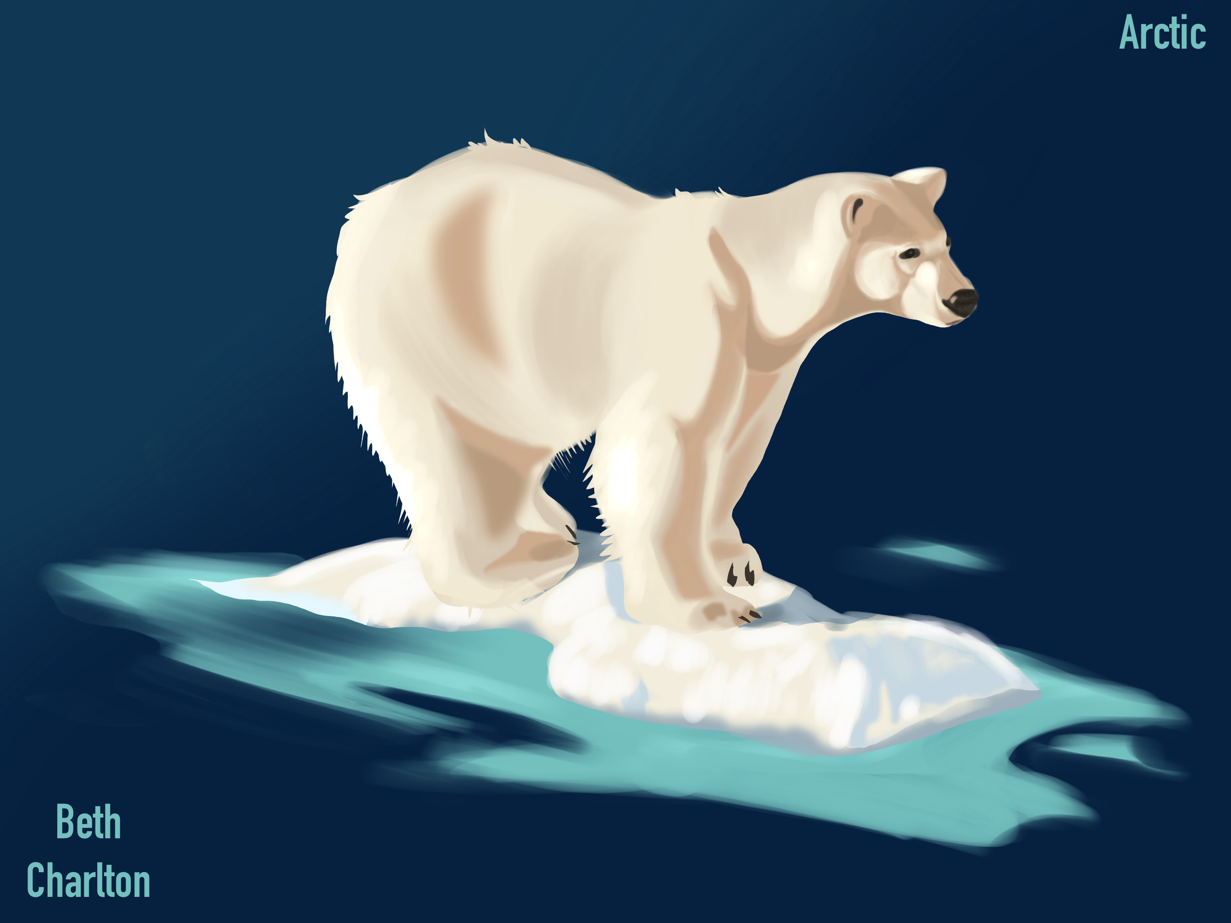IMG_4889.PNG