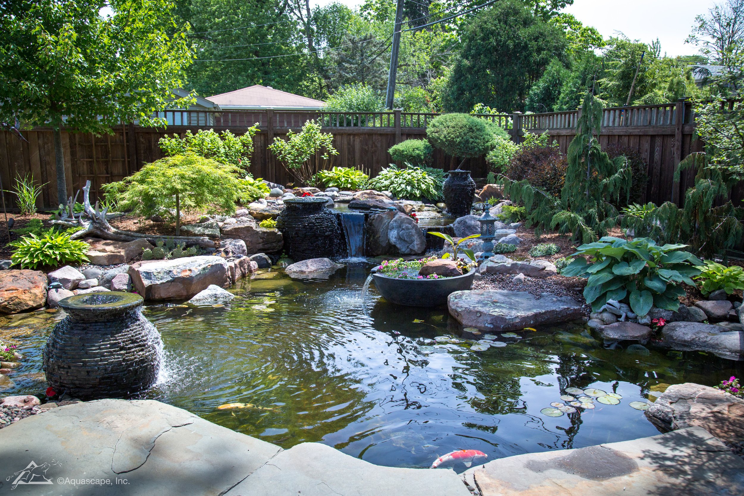 Ecosystem Pond_13.jpg