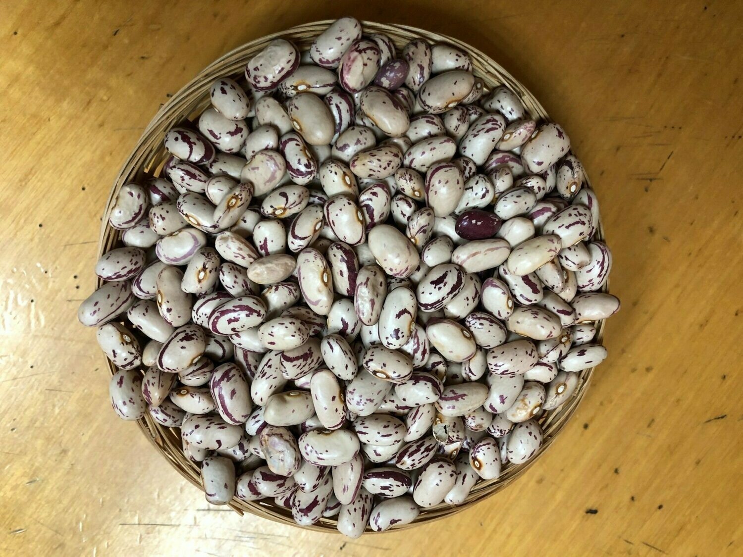 Alubia Pinta