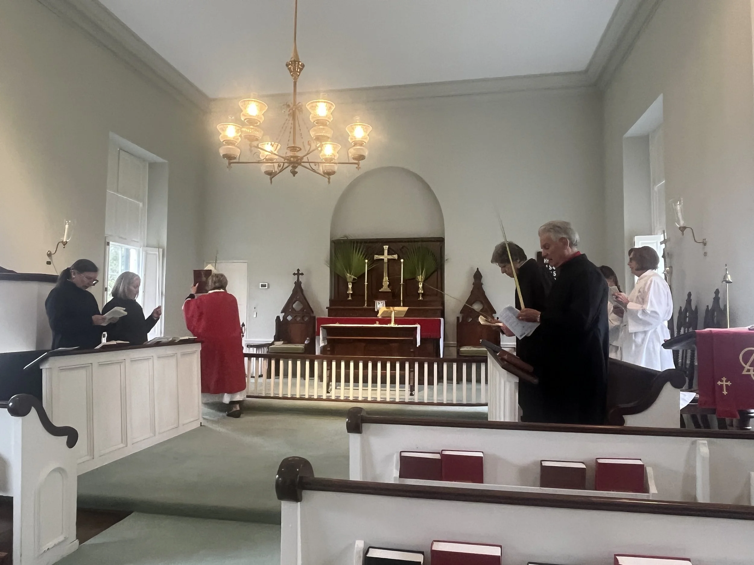 IMG_9559.jpeg