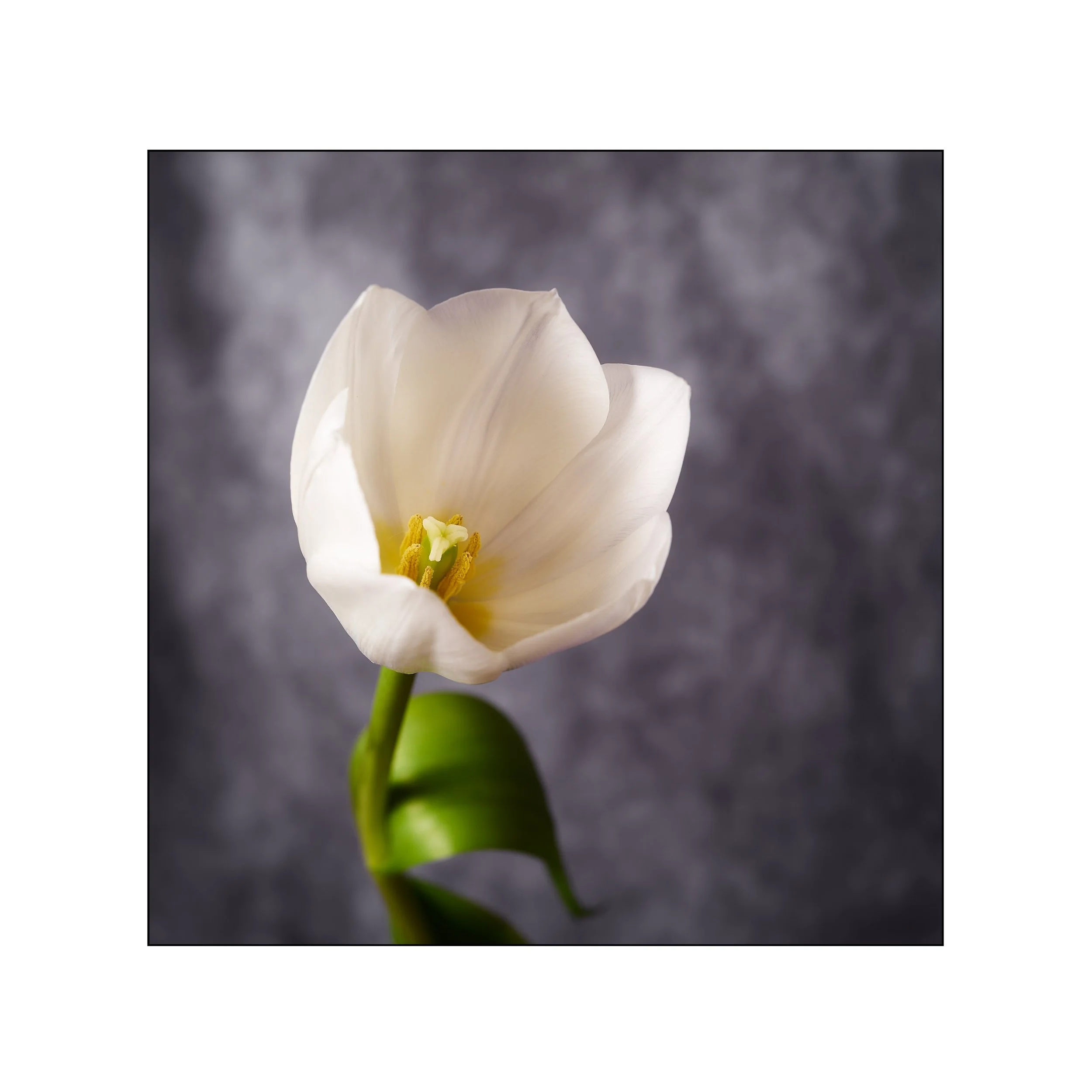 Catalogue 20250227.jpg