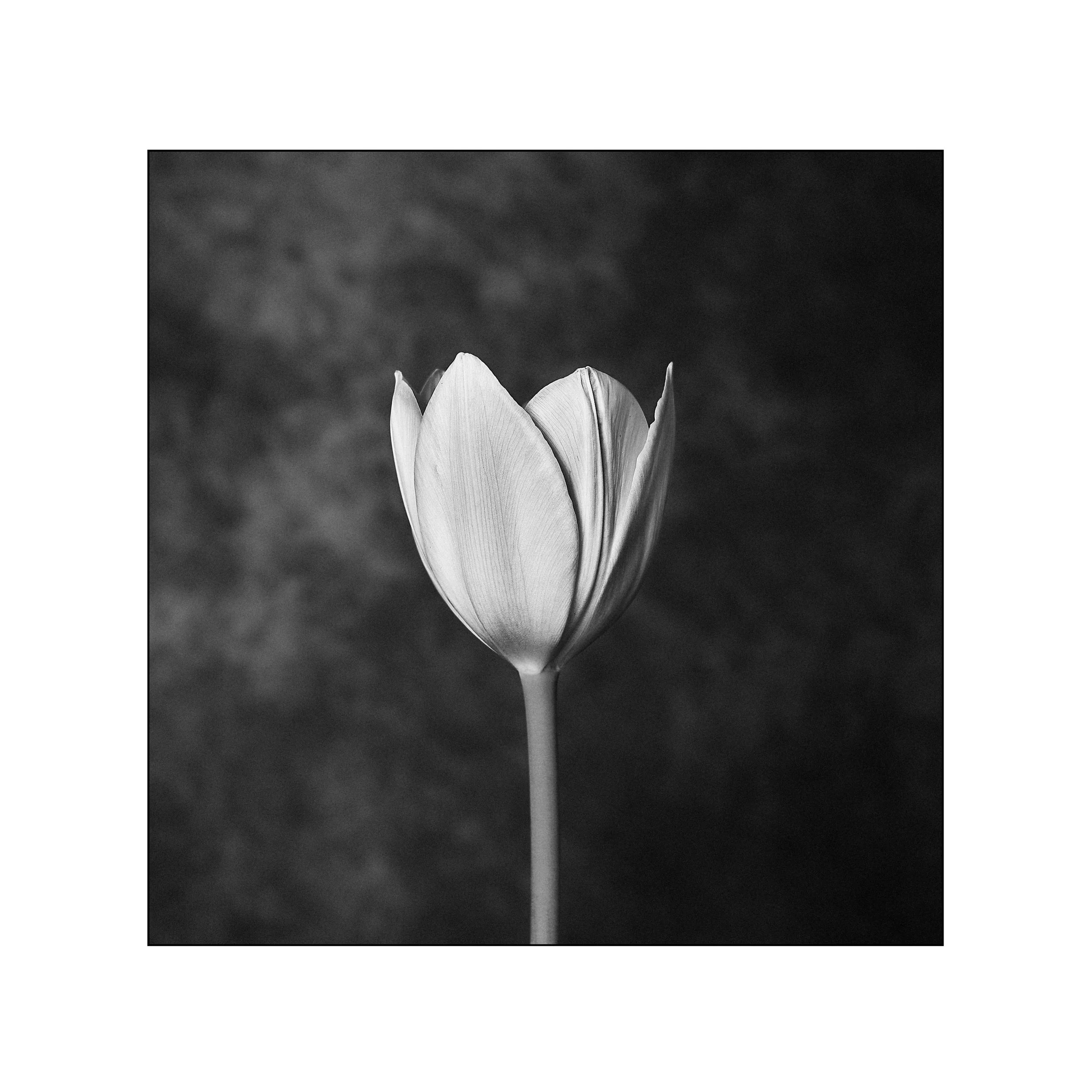 Catalogue 20250219.jpg