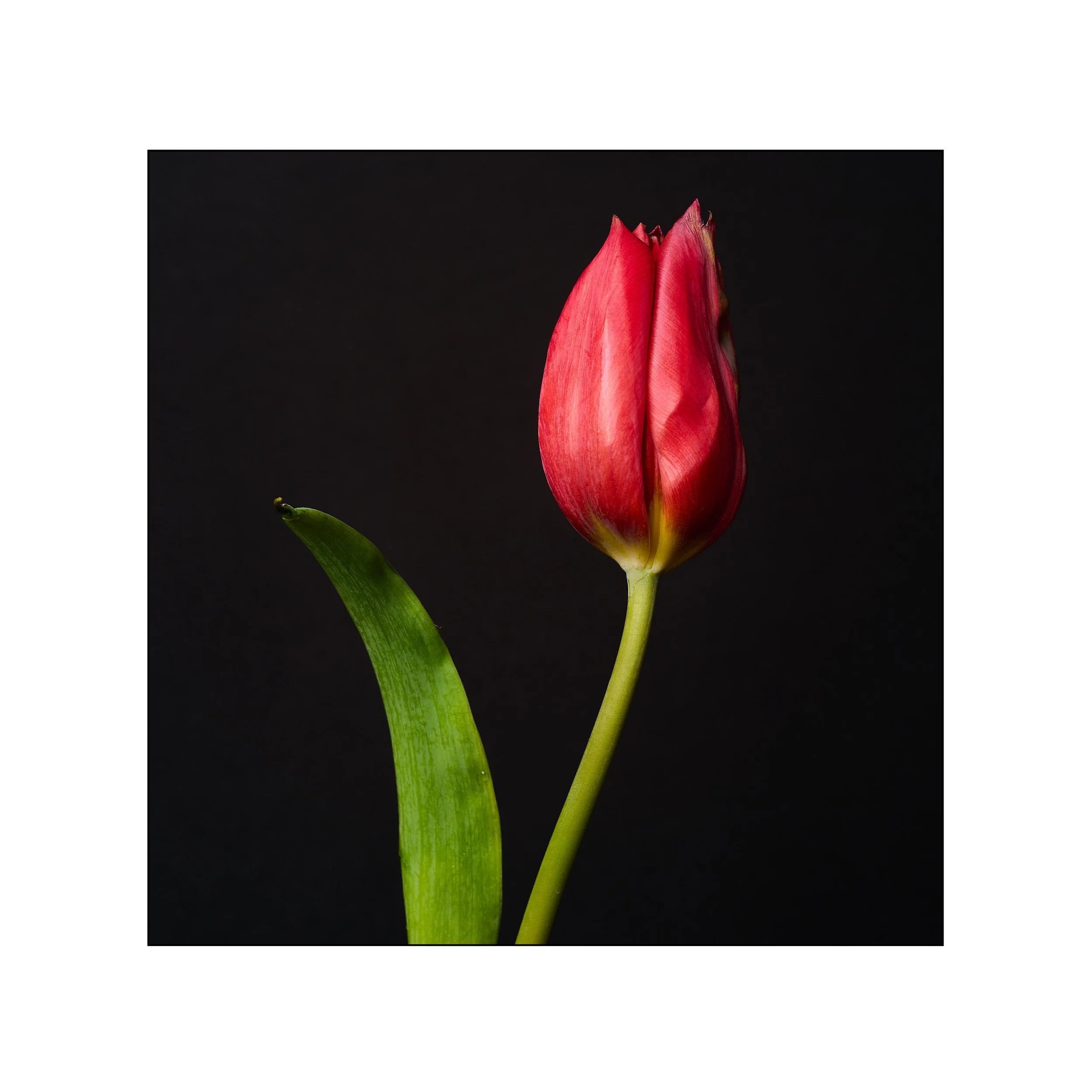 Catalogue 20250336.jpg