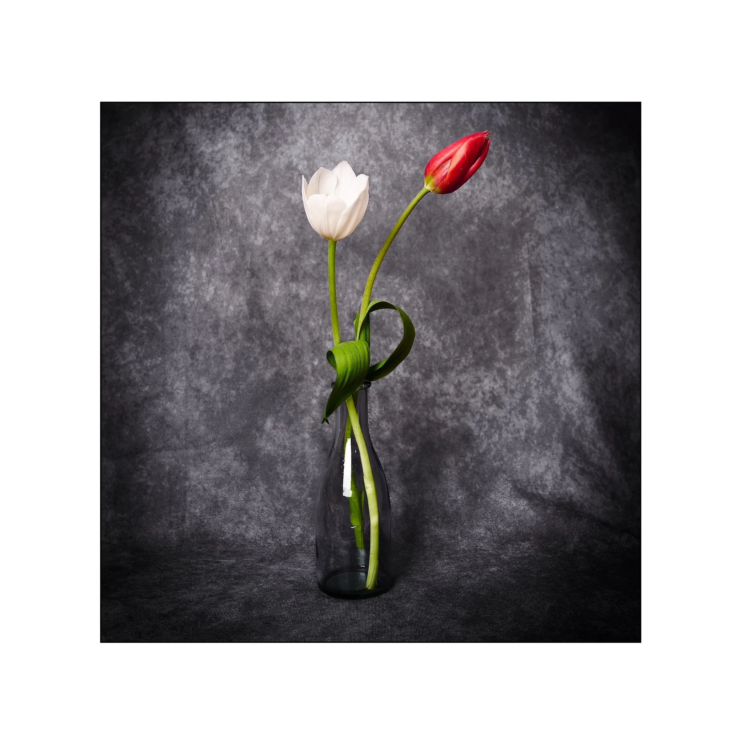 Catalogue 20250241.jpg