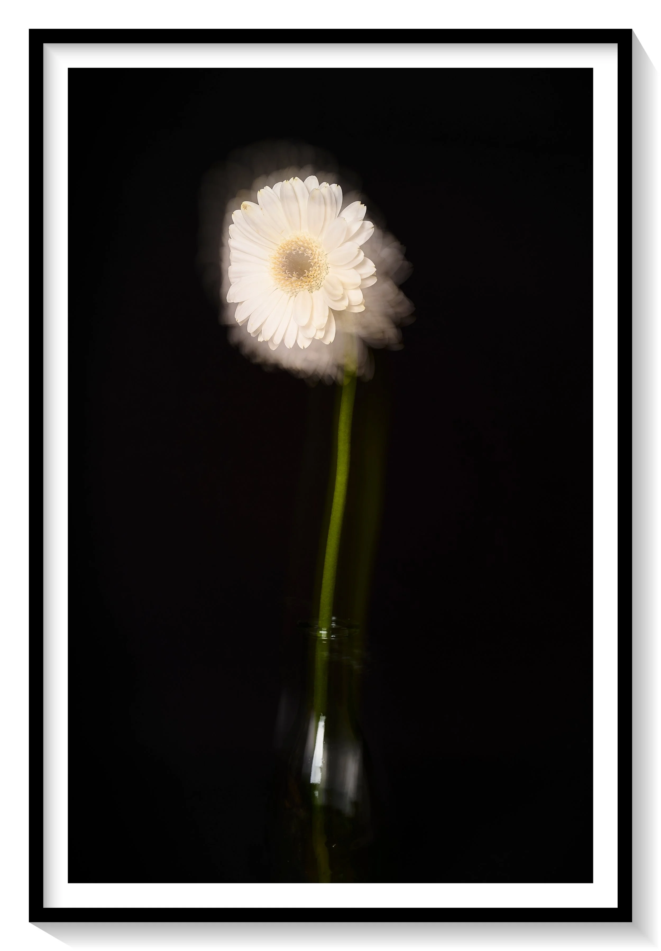 #FLOWER_008