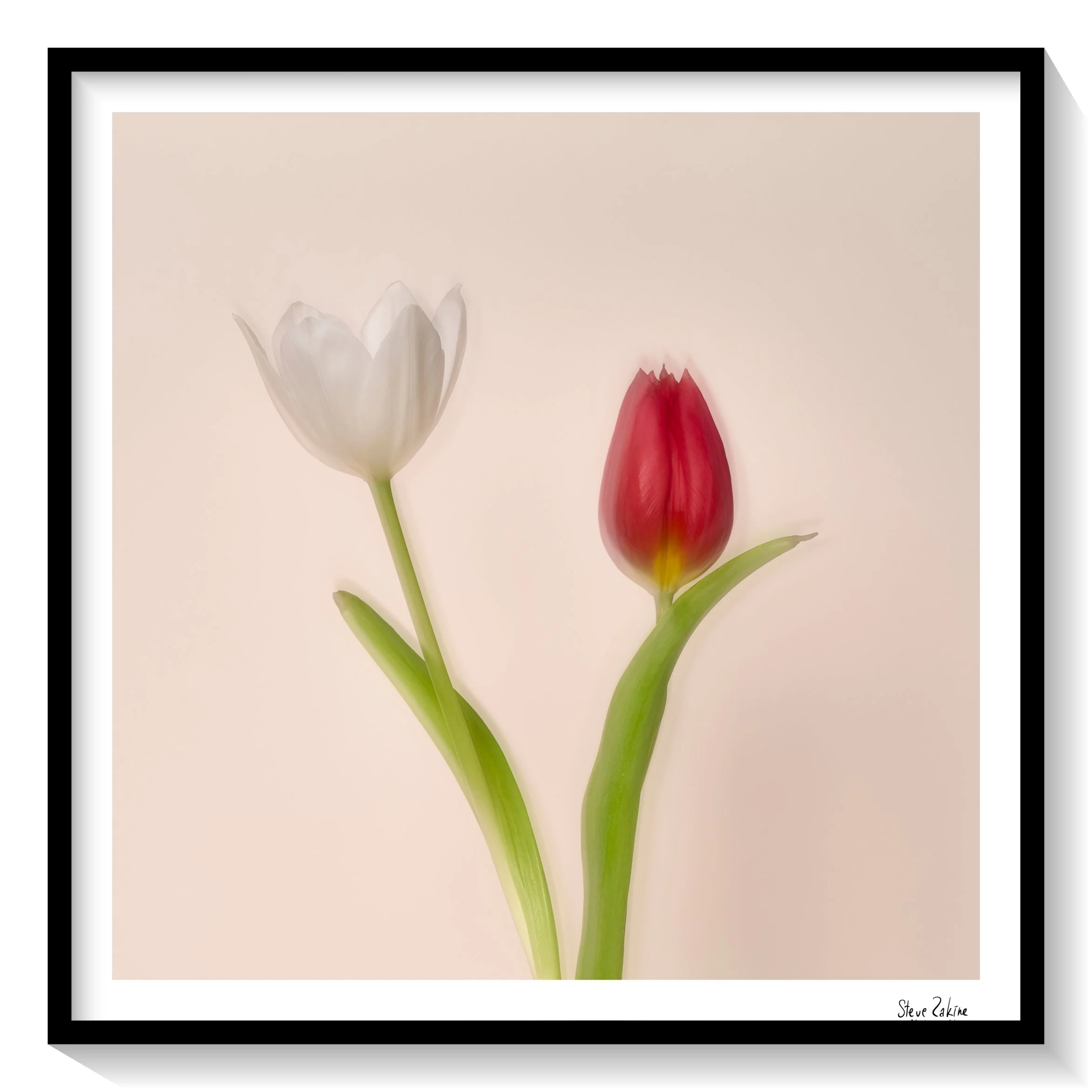 #FLOWER_018 (4 derniers tirages restant)