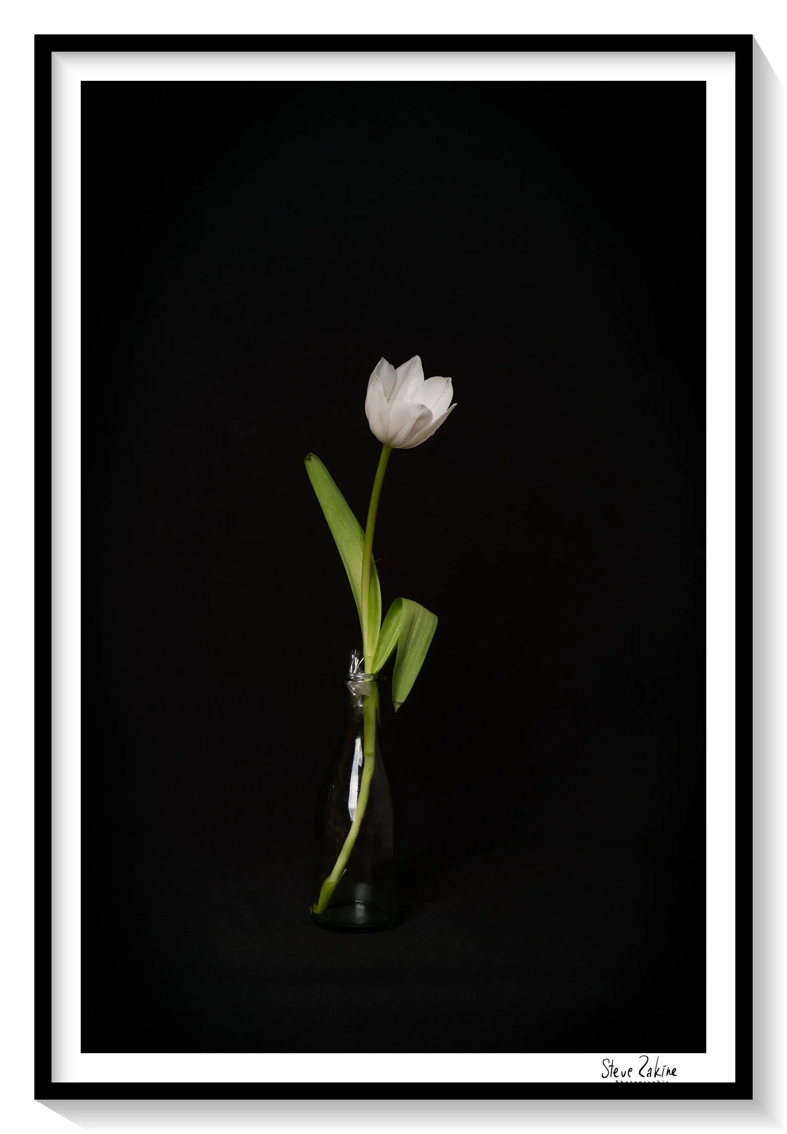 Catalogue 20250249.jpg