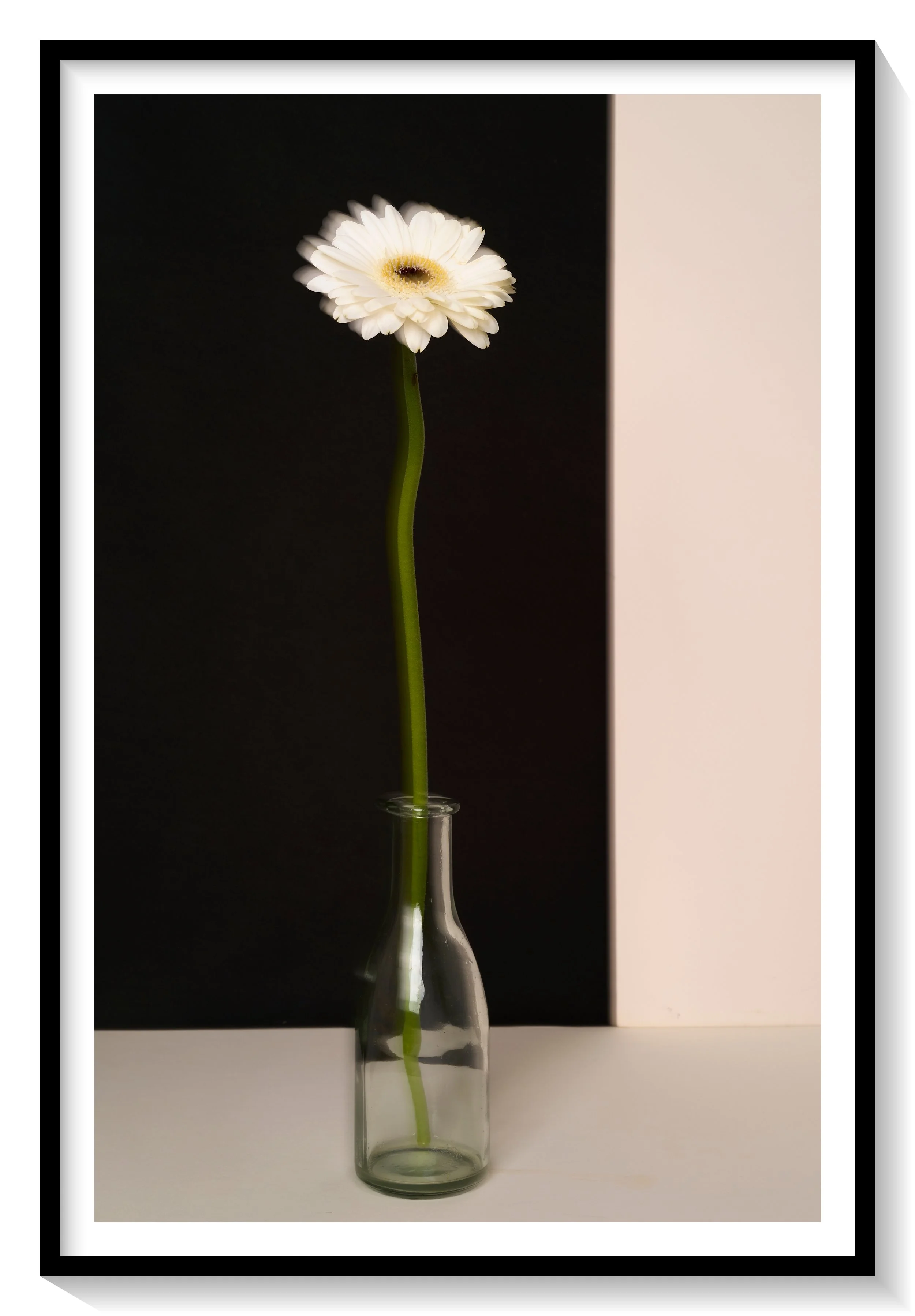 #FLOWER_014