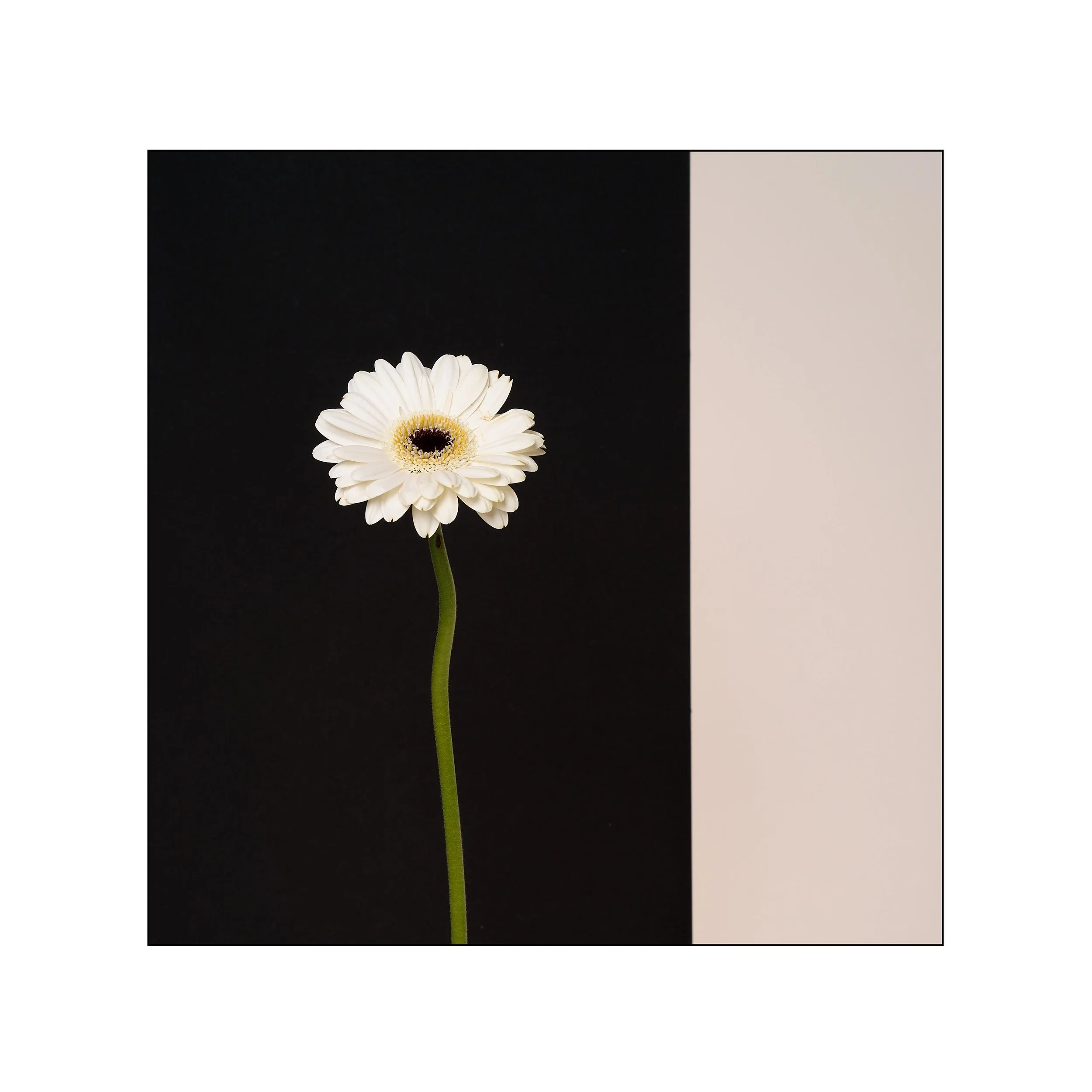 Catalogue 20250314.jpg