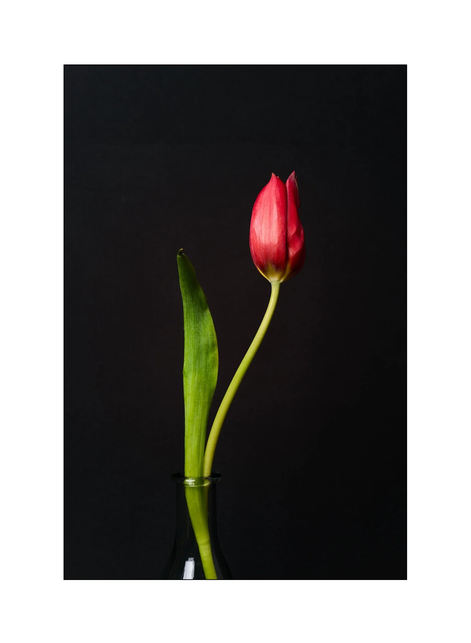 Catalogue 20250339.jpg