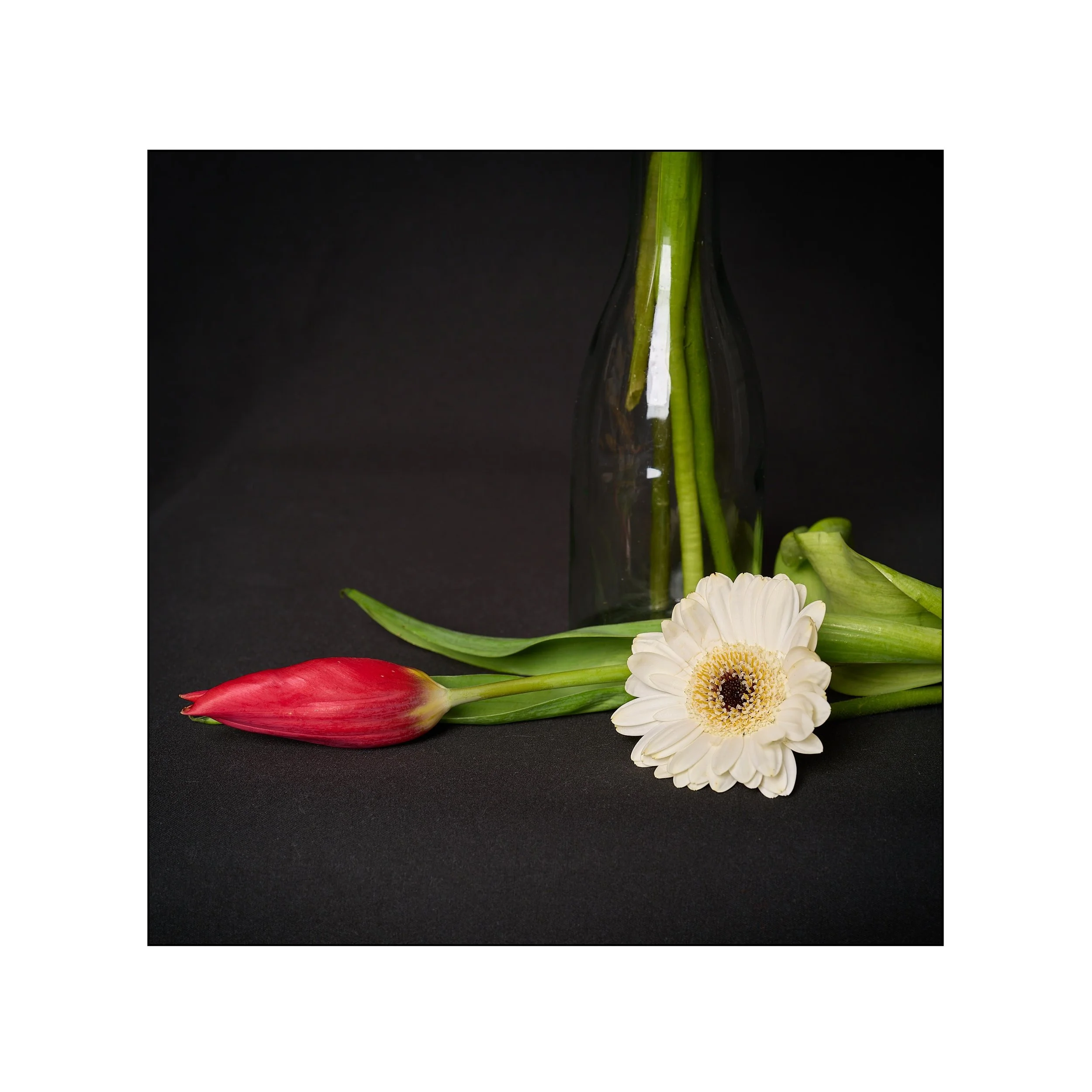 Catalogue 20250276.jpg