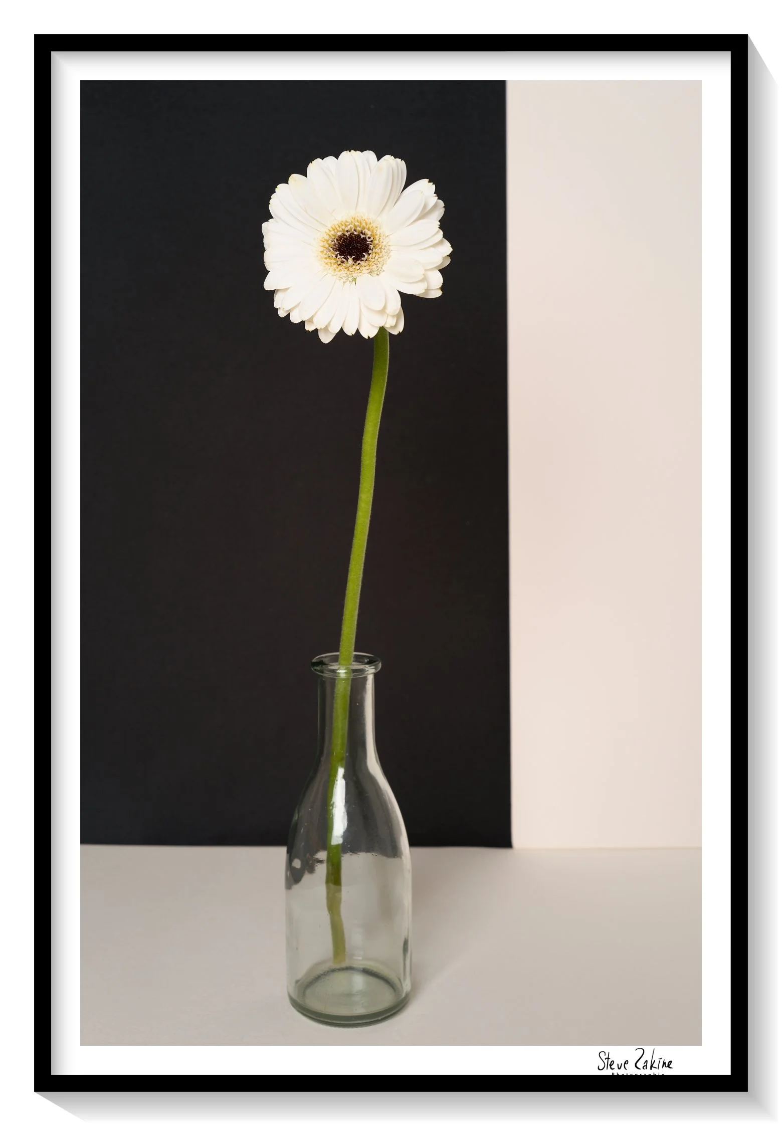 Catalogue 20250300.jpg