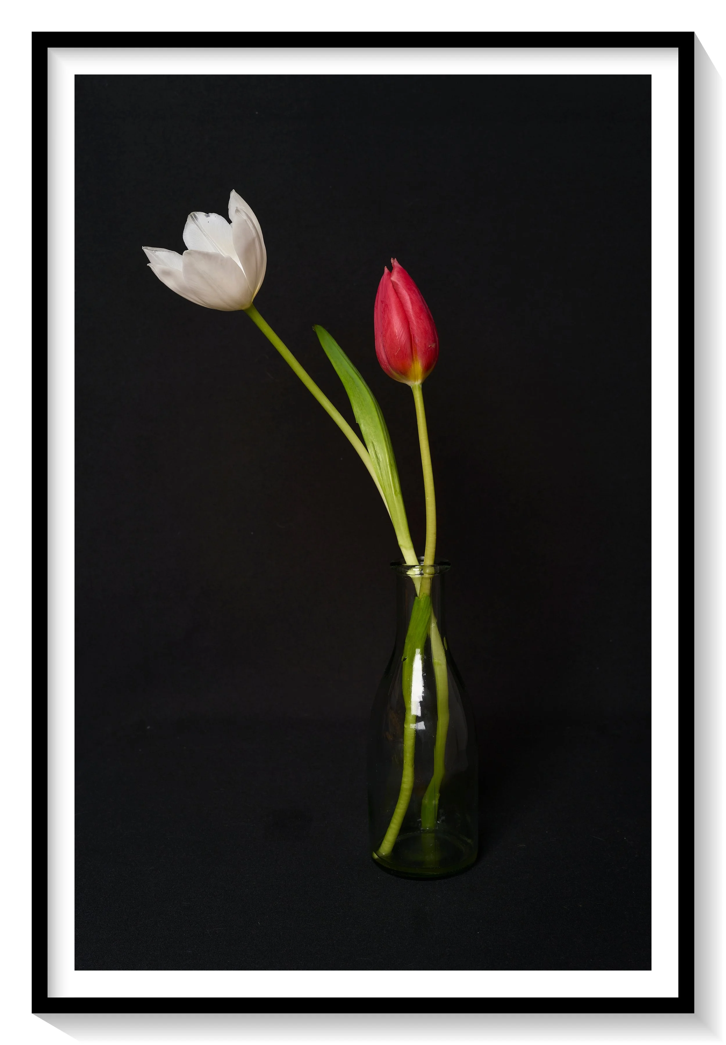 #FLOWER_003