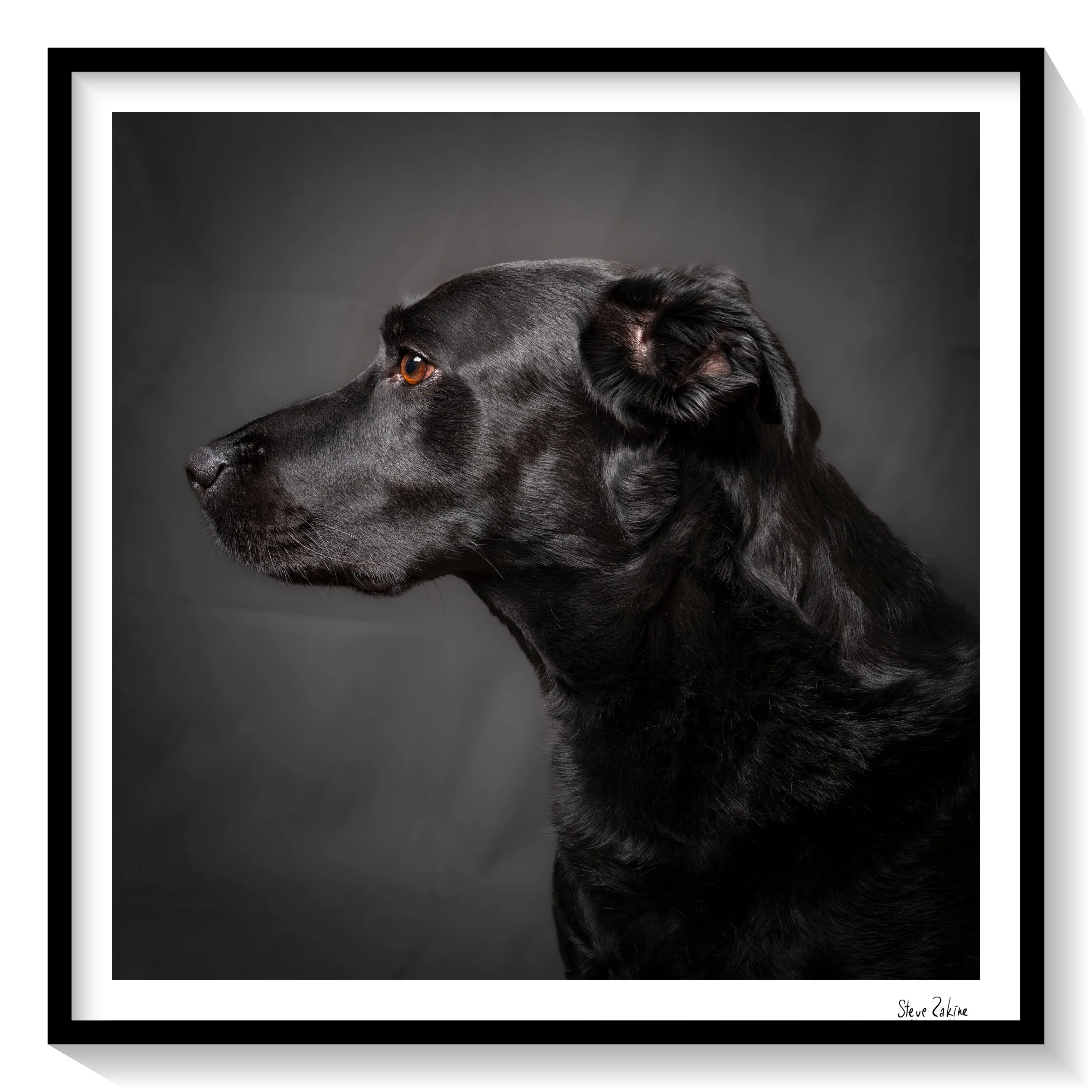 2025.05.08_Melissandre et Pako_L1009743.jpg