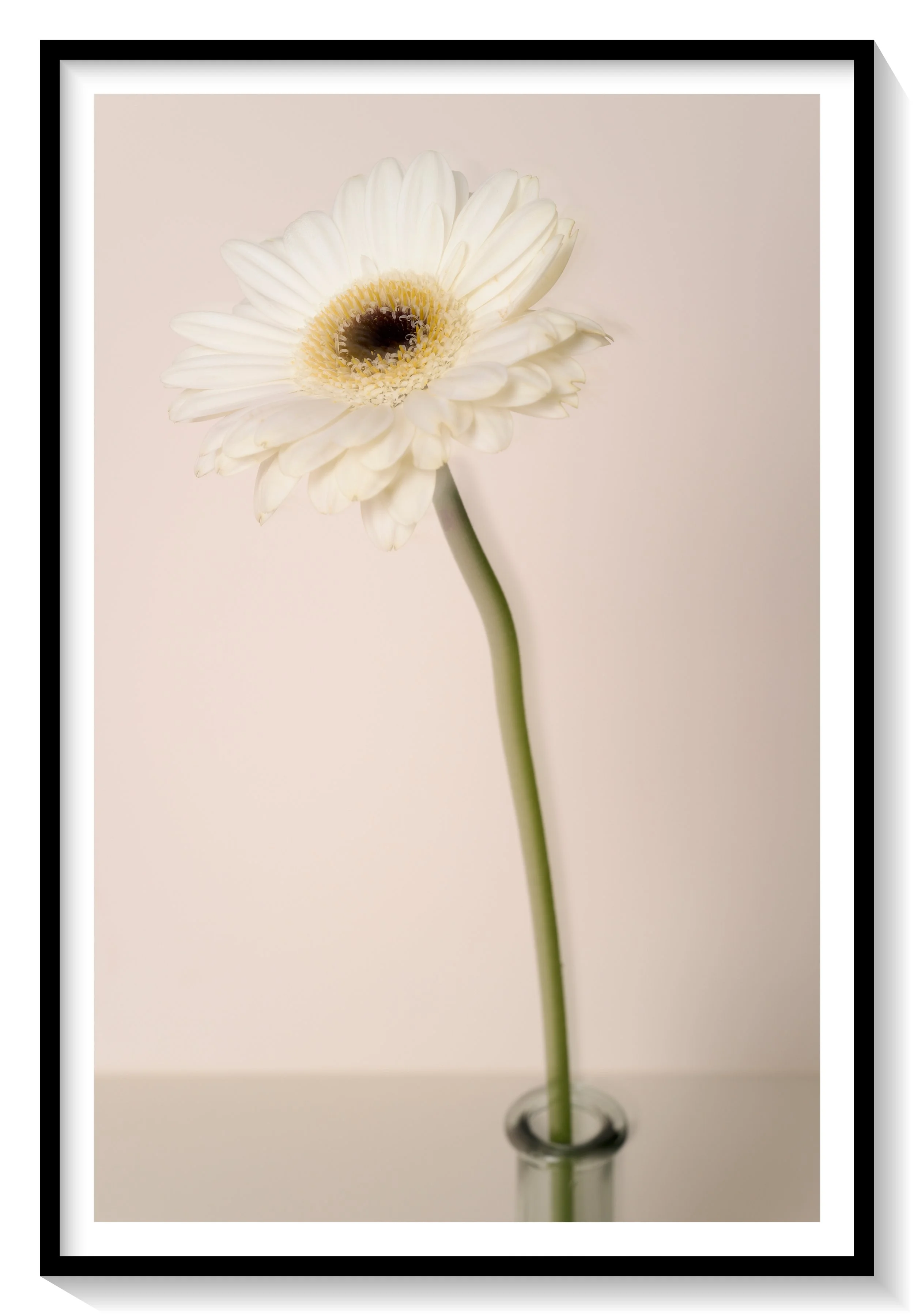 #FLOWER_018
