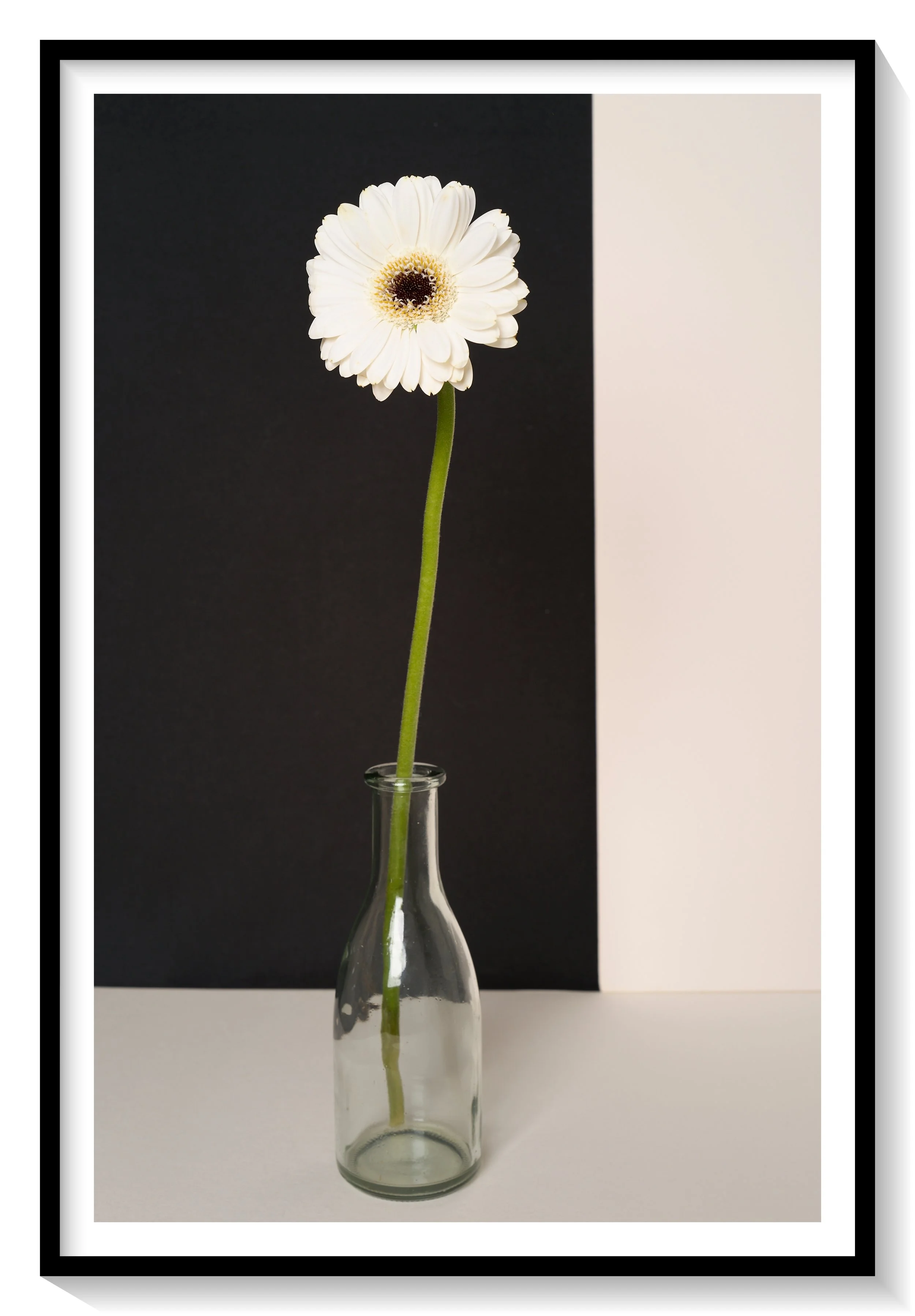 #FLOWER_011