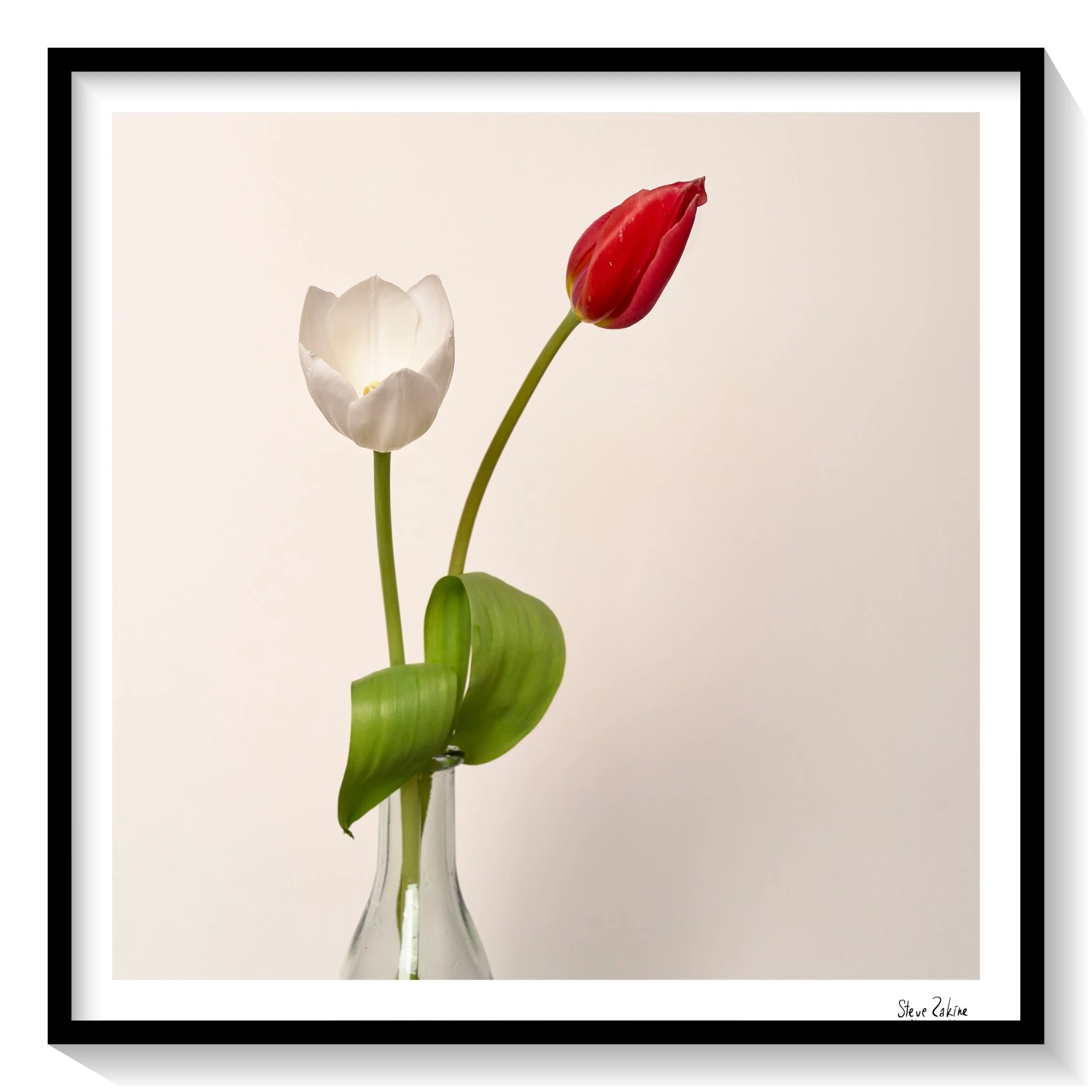 Catalogue 20250247 3.jpg