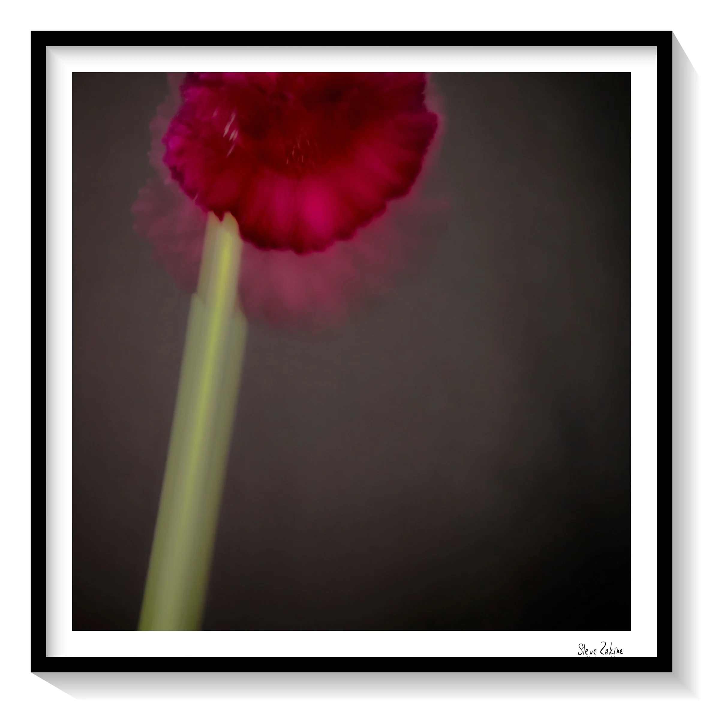 Catalogue 20250169.jpg