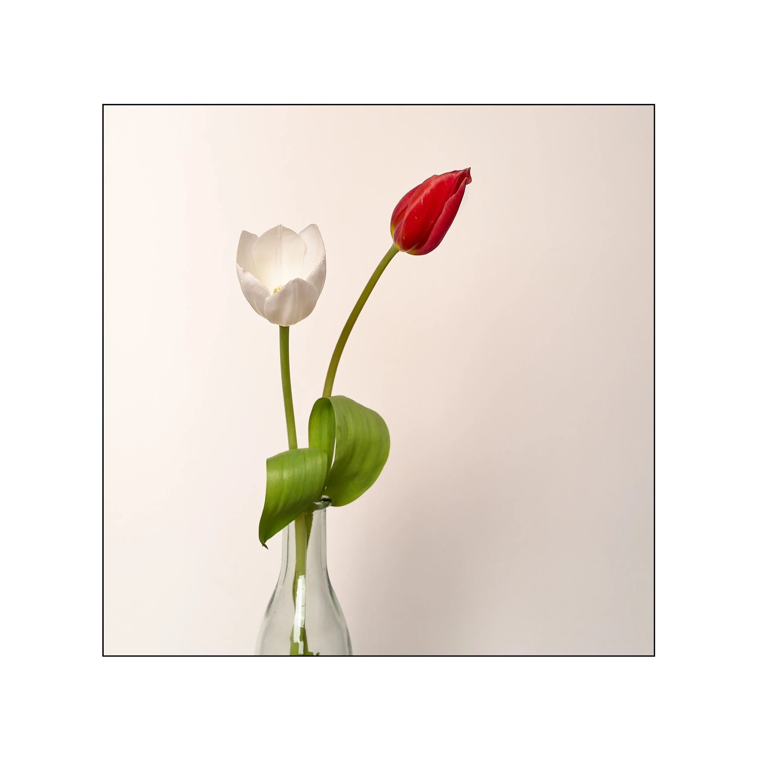 Catalogue 20250247.jpg