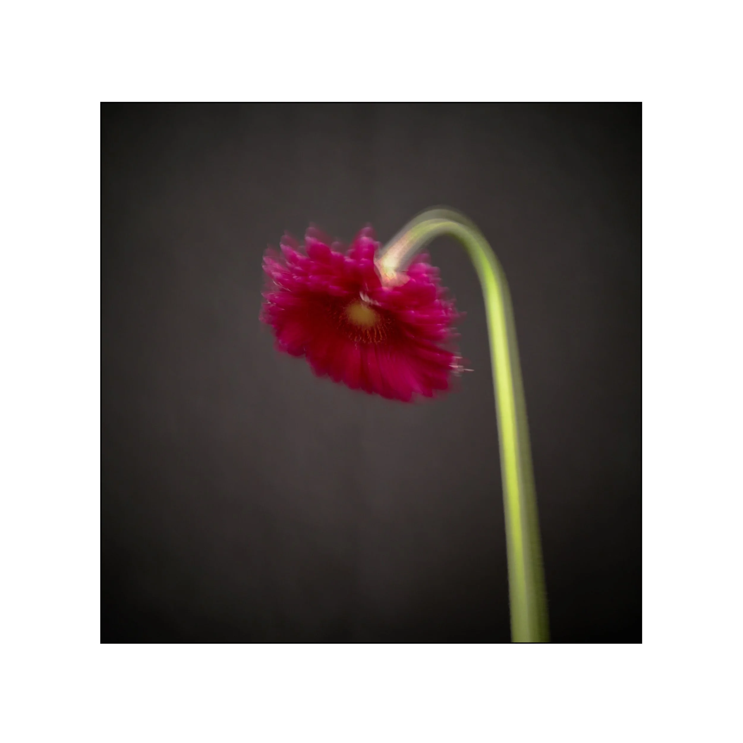 Catalogue 20250174.jpg