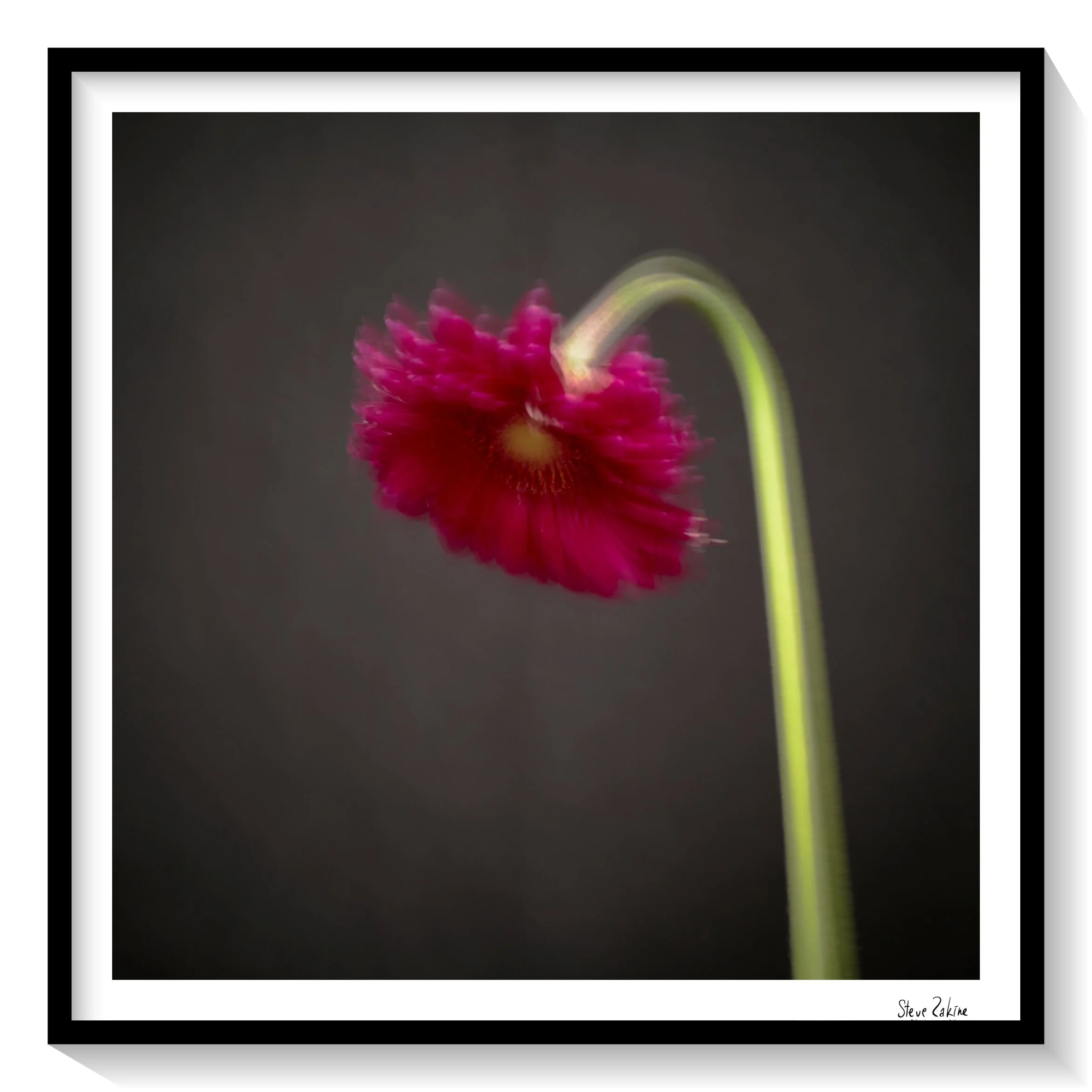 Catalogue 20250174.jpg