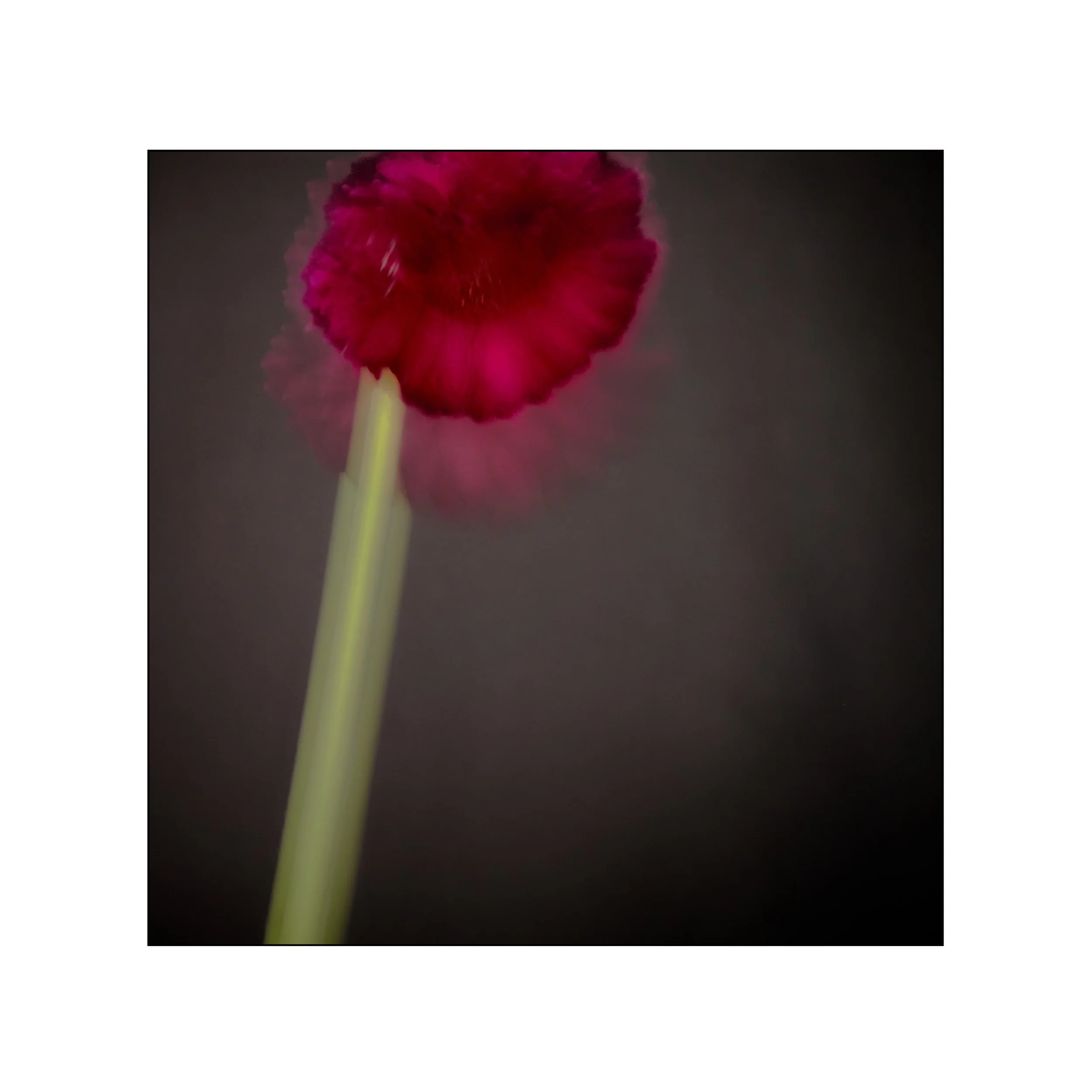 Catalogue 20250169.jpg