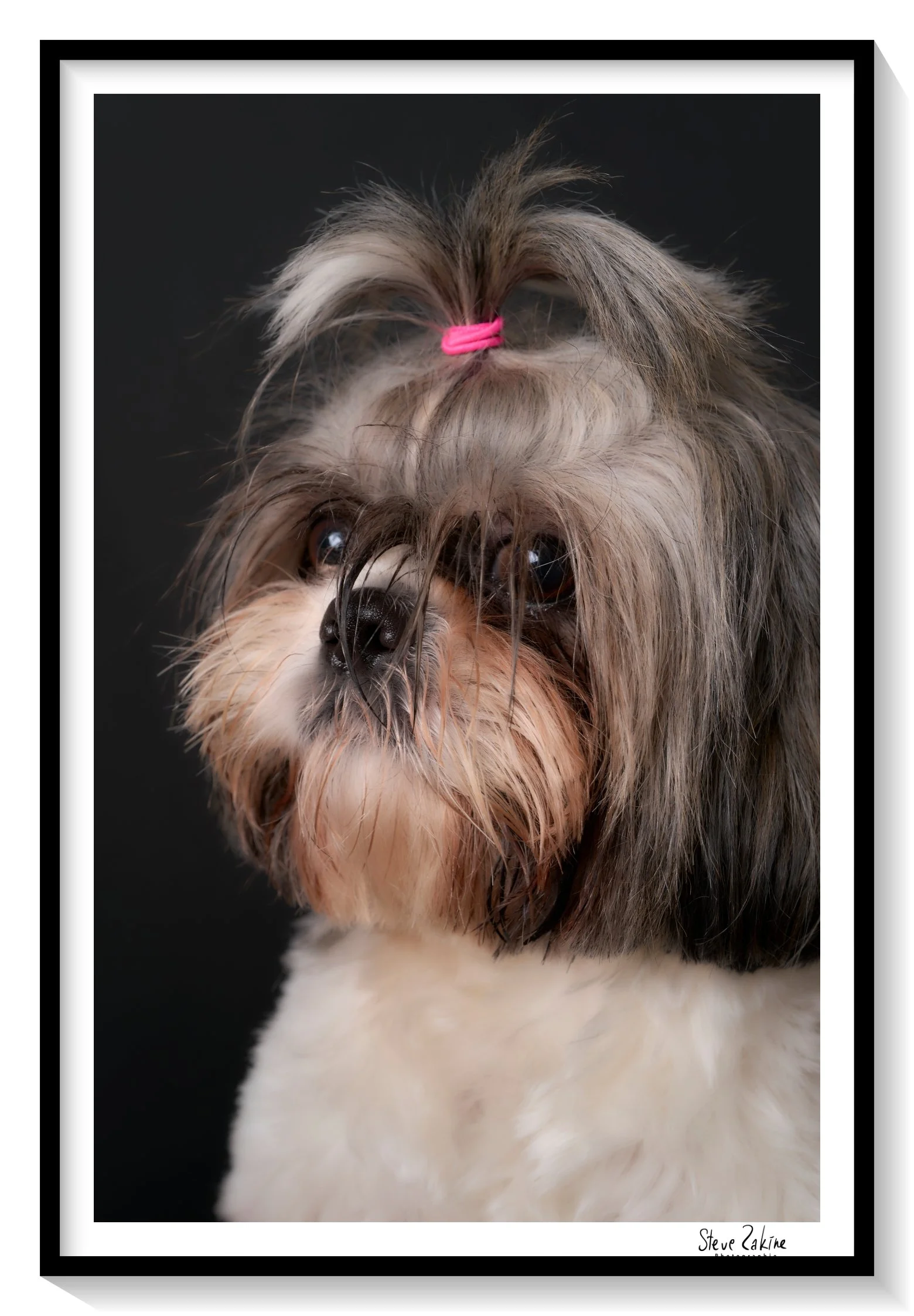 Catalogue 20250268.jpg