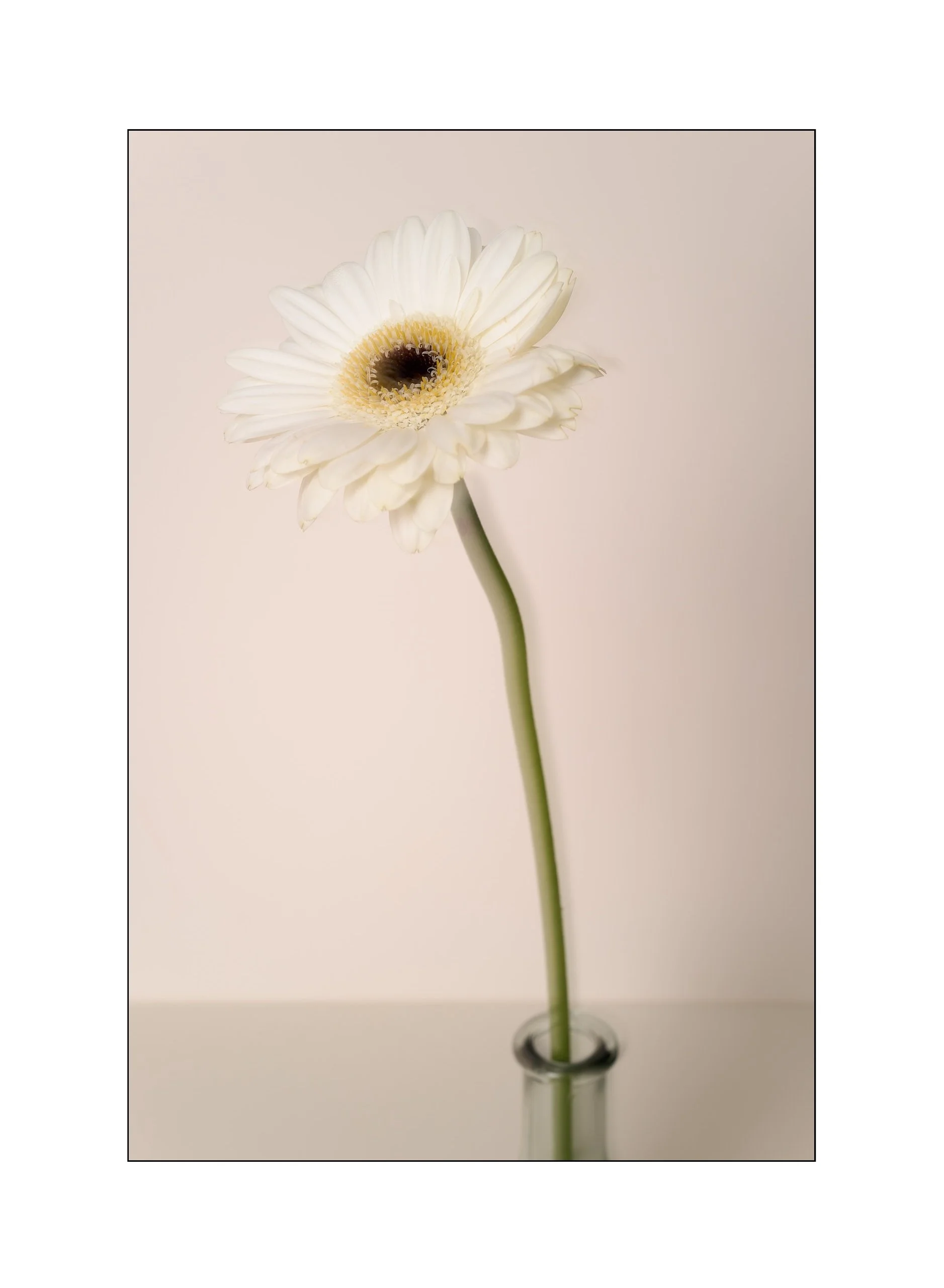 Catalogue 20250304.jpg