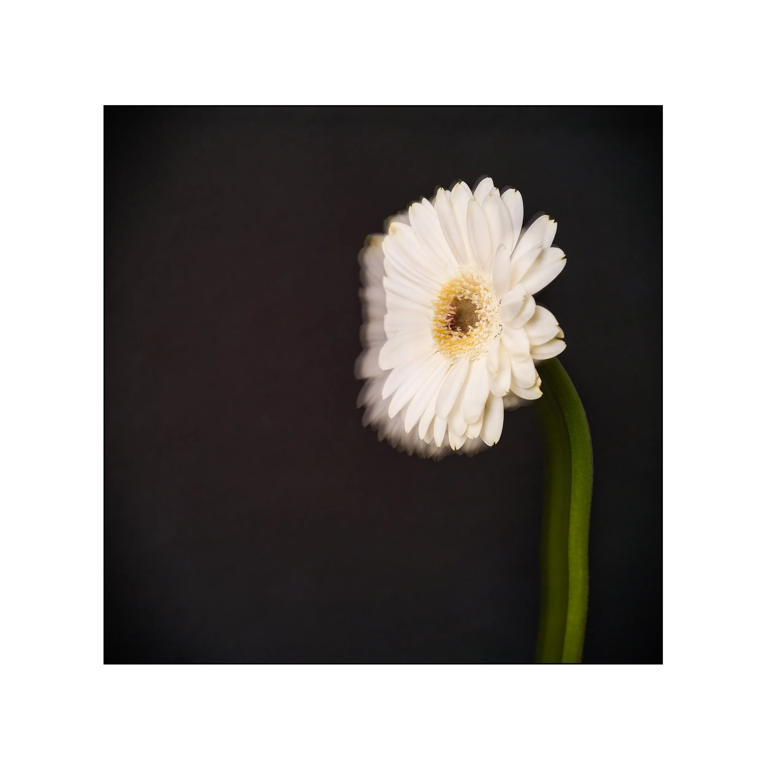 Catalogue 20250262.jpg