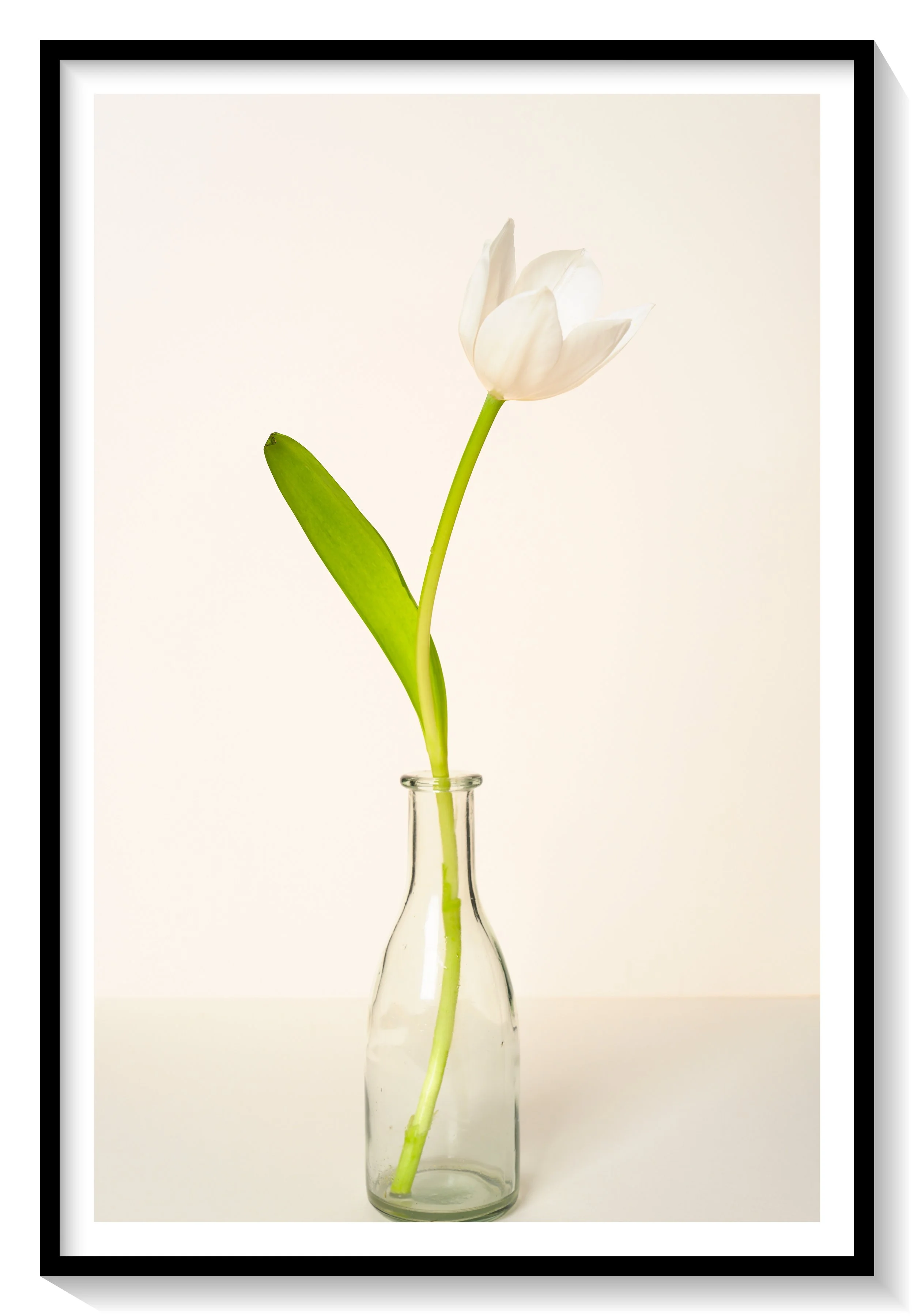 #FLOWER_017