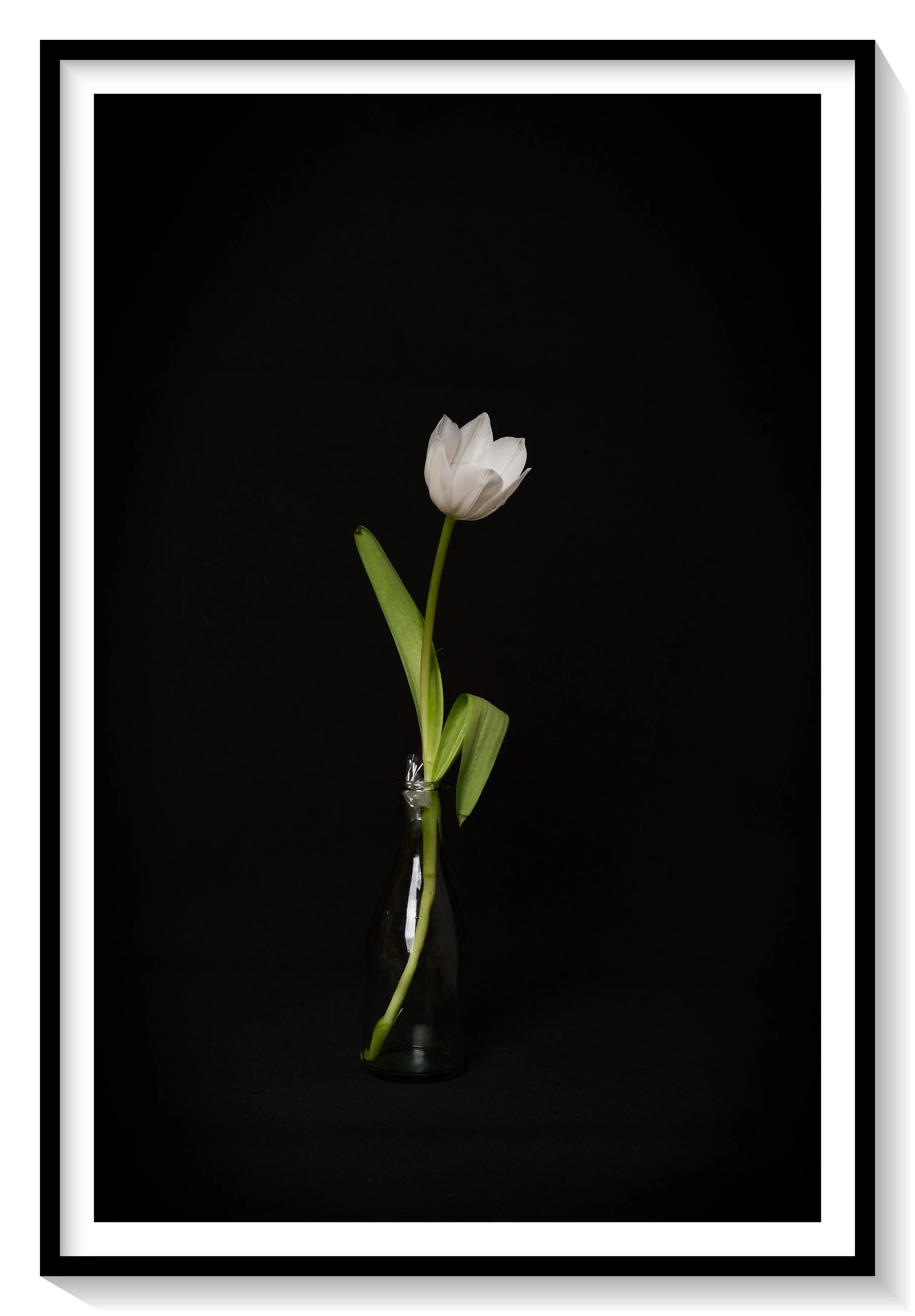 #FLOWER_005