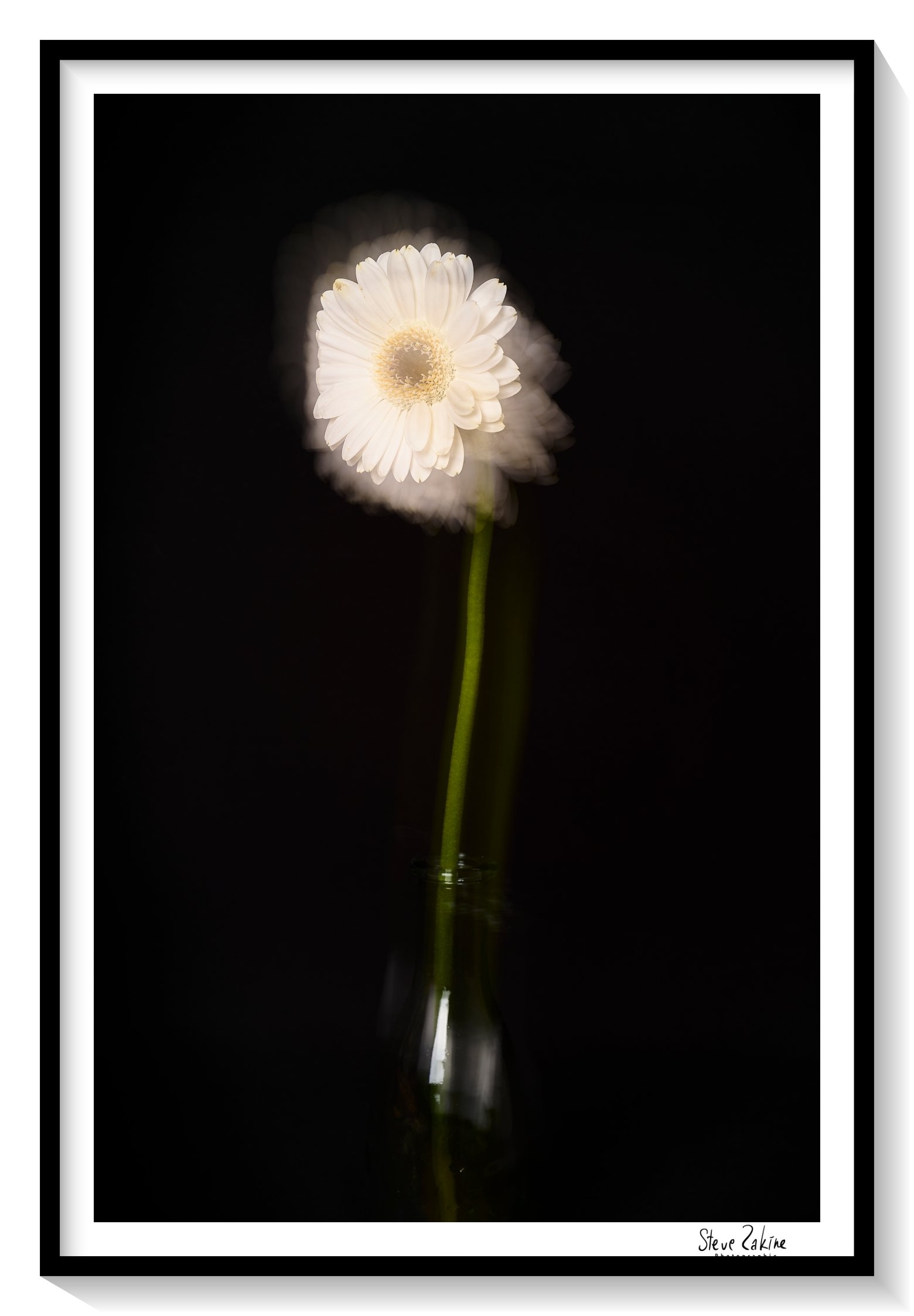 Catalogue 20250254.jpg