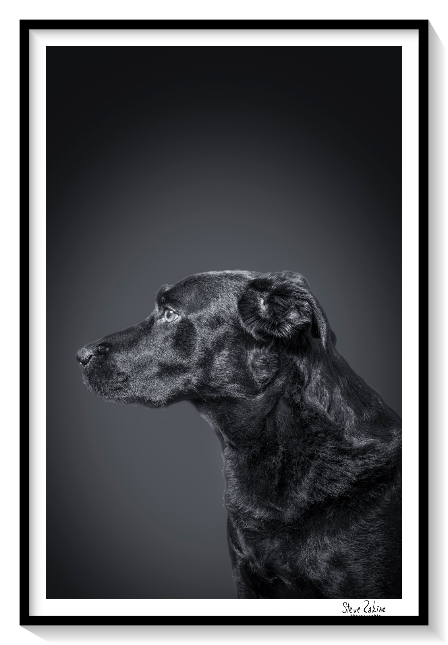 2025.05.08_Melissandre et Pako_L1009743-Modifier.jpg