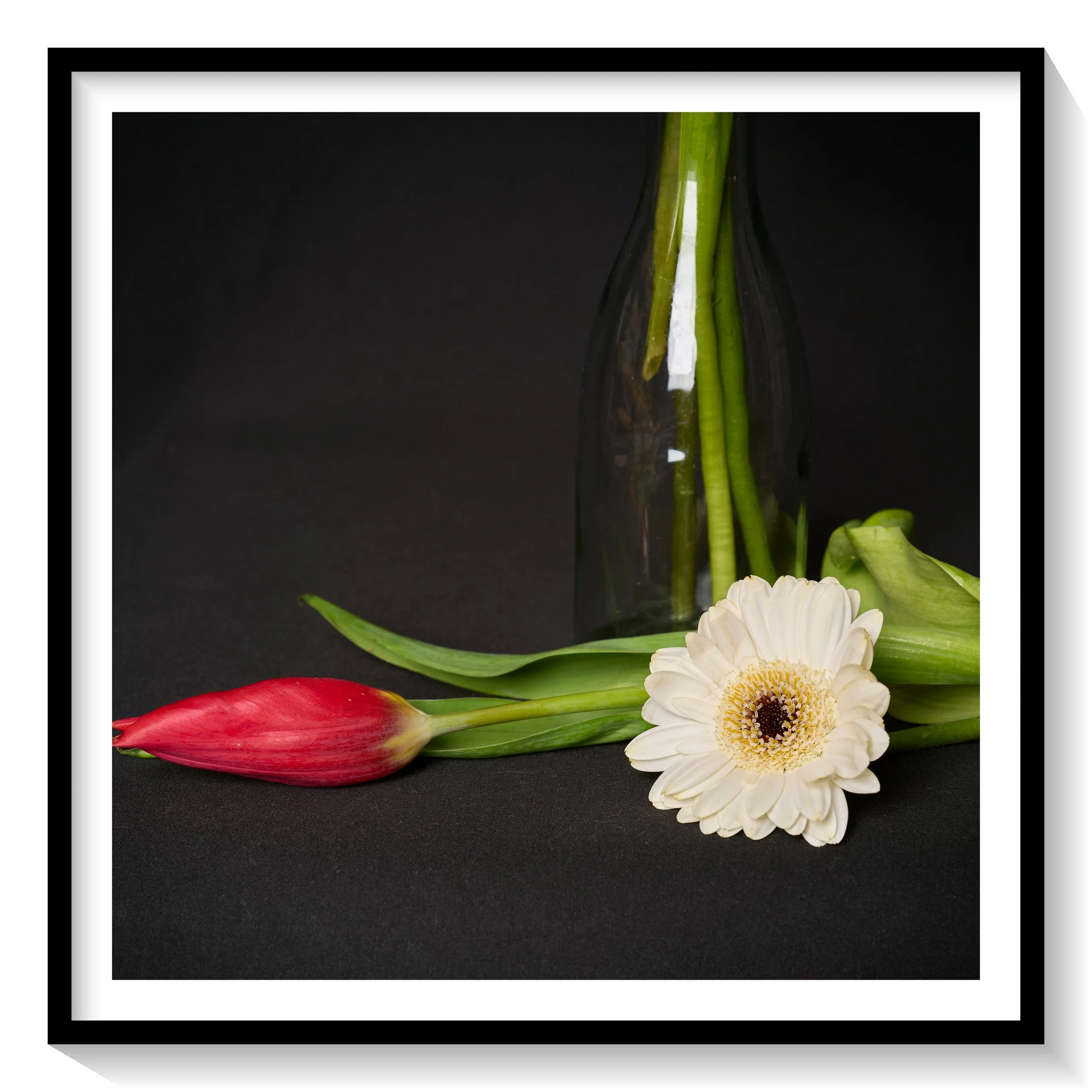 #FLOWER_002