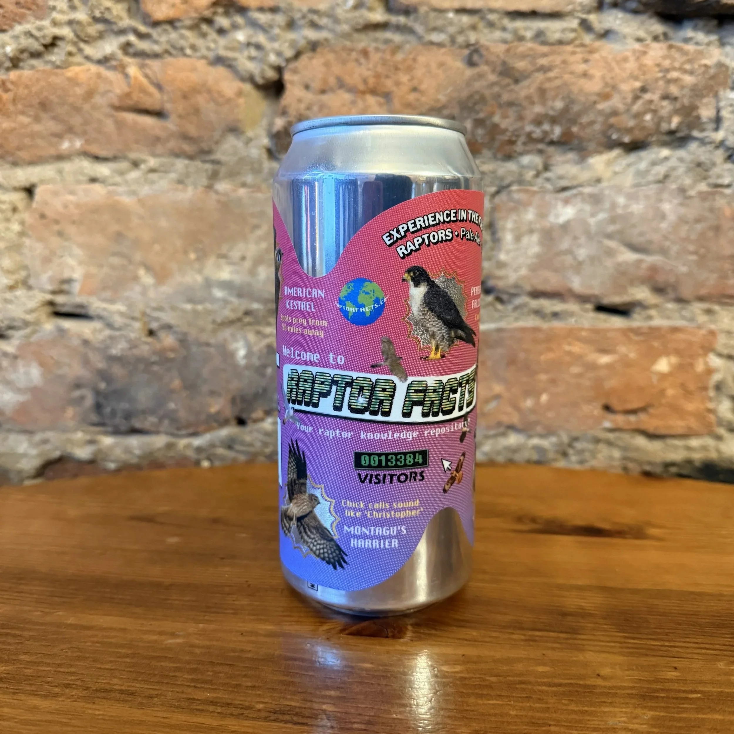 Sureshot - Experience In The Field Of Raptors