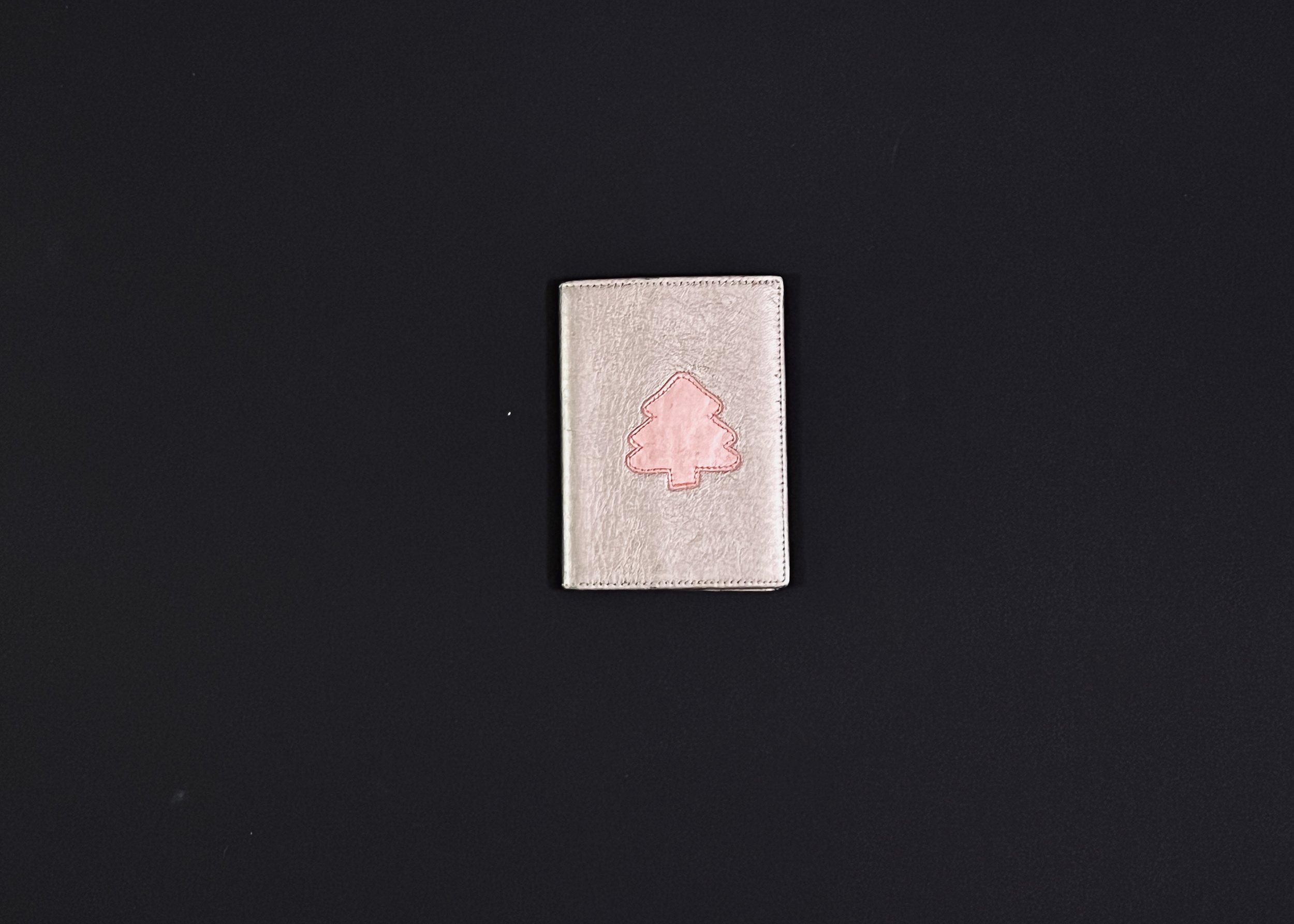 OB 2 - Passport Cover.jpg