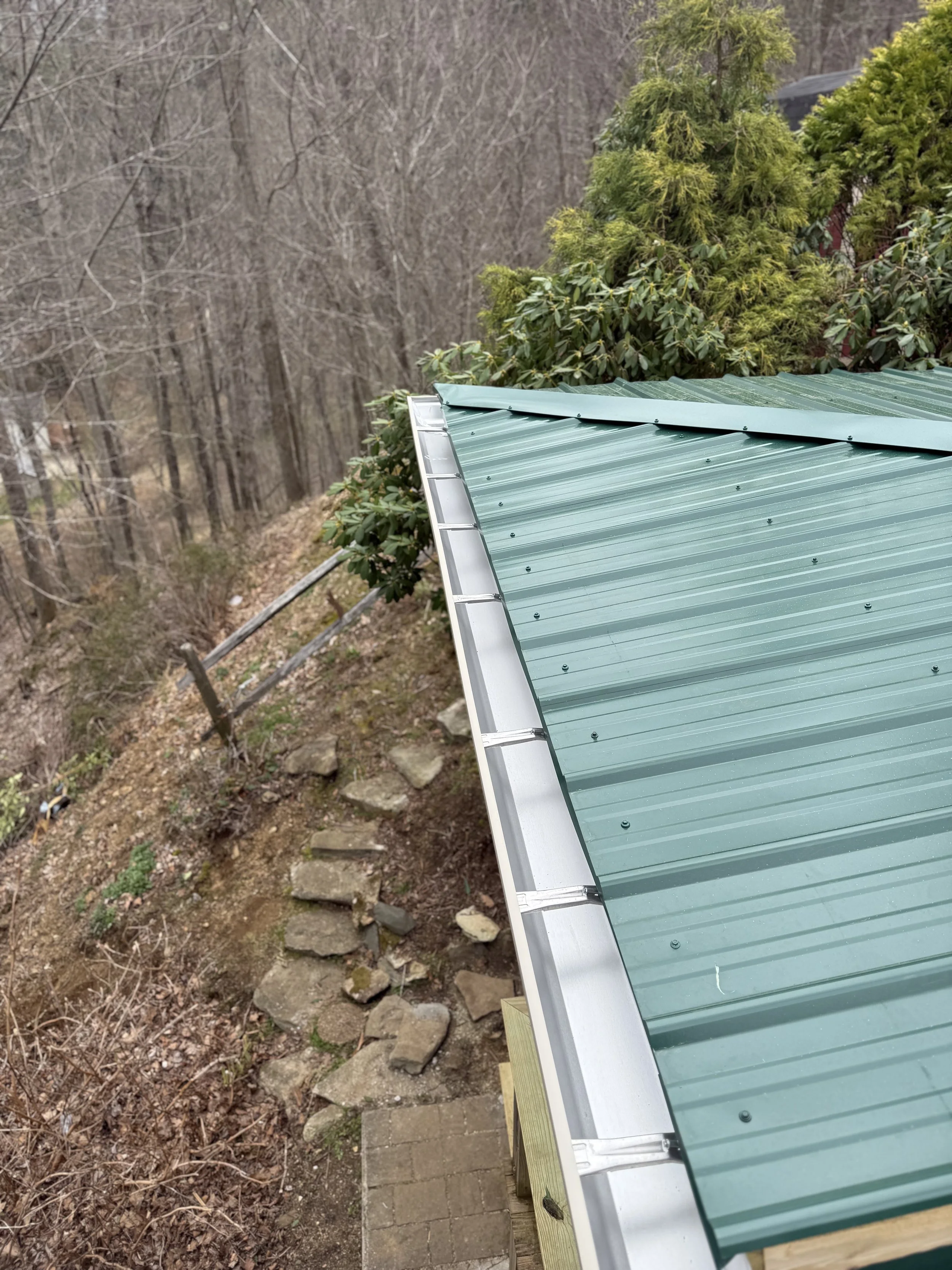 A close-up of a green metal roof with a silver trim and some wooden support beams, with a background of leafless trees and bushes in late fall or winter.