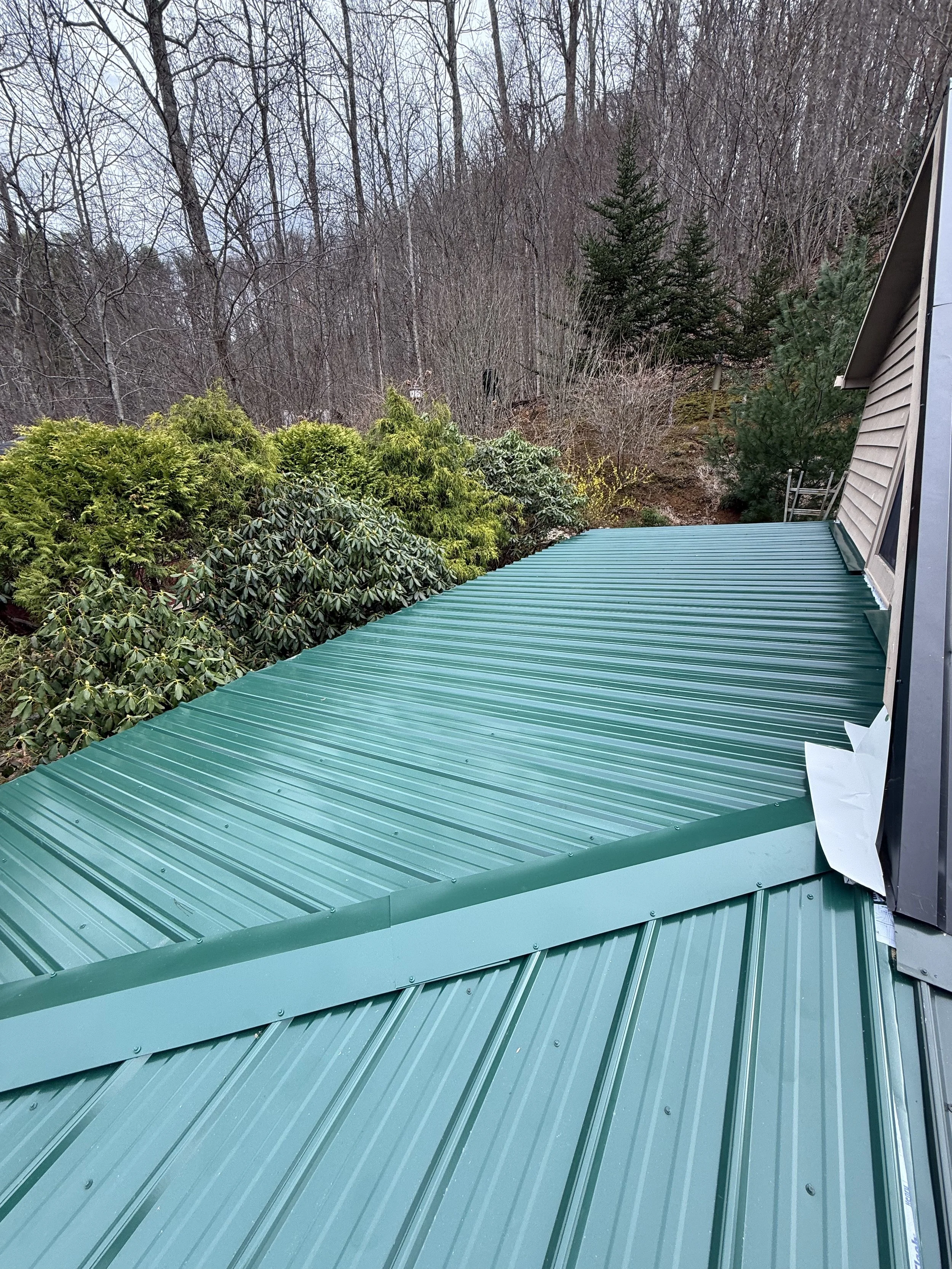 A green metal roof with trees and a house in the background under a cloudy sky.