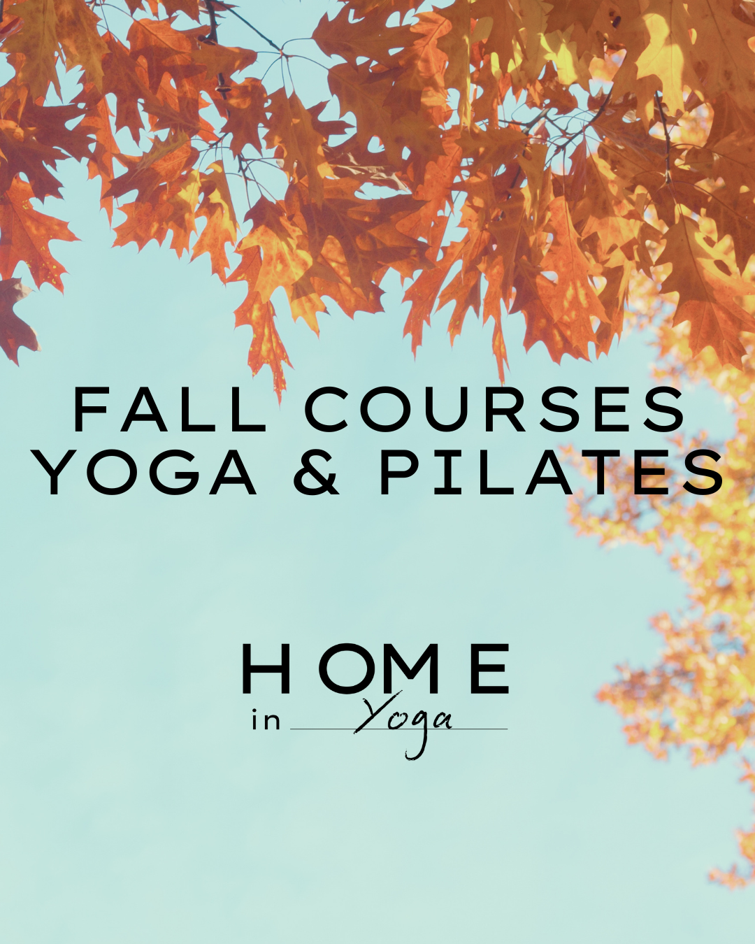 Fall Courses are here!