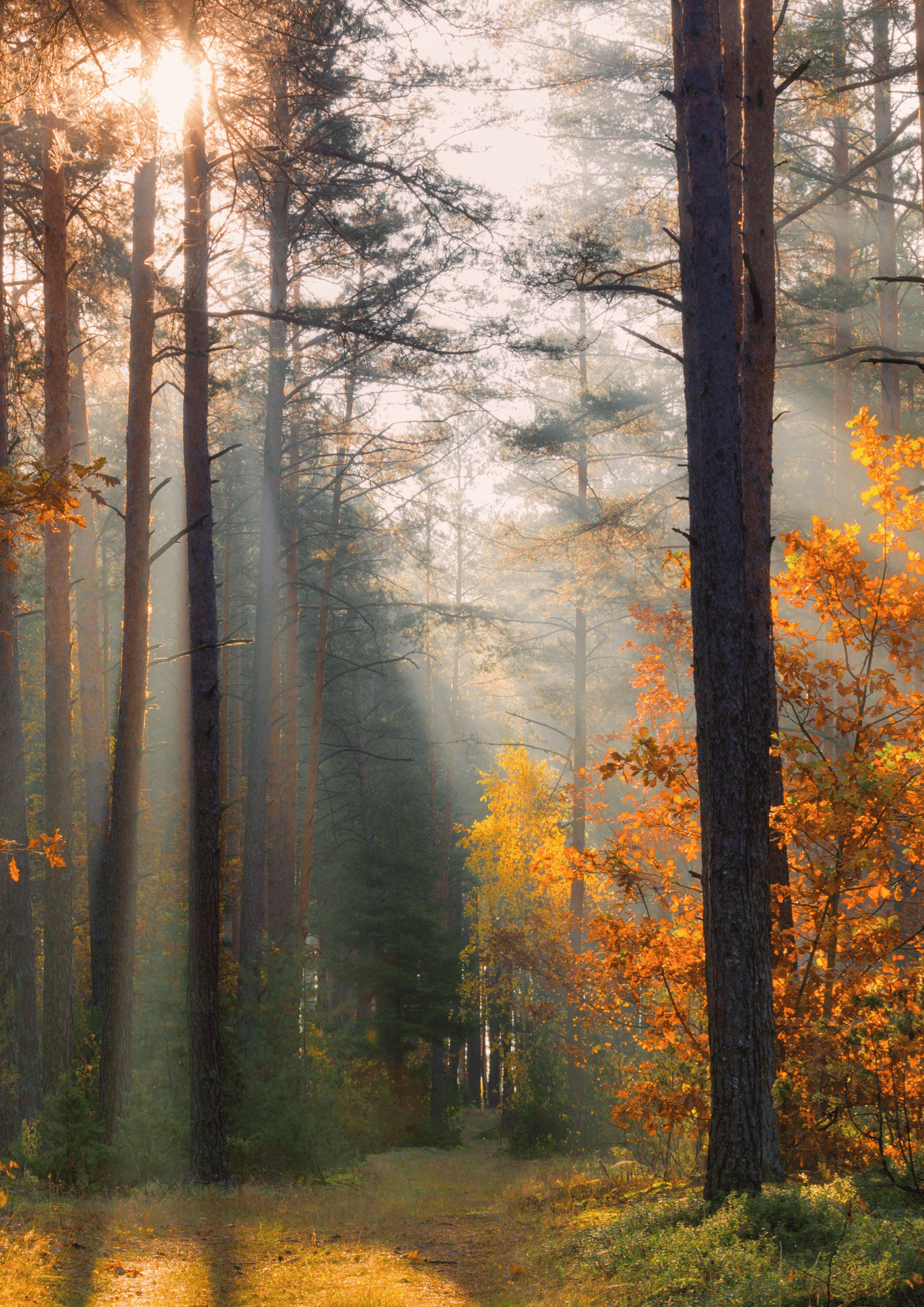 Fall Workshops are here! 🍂