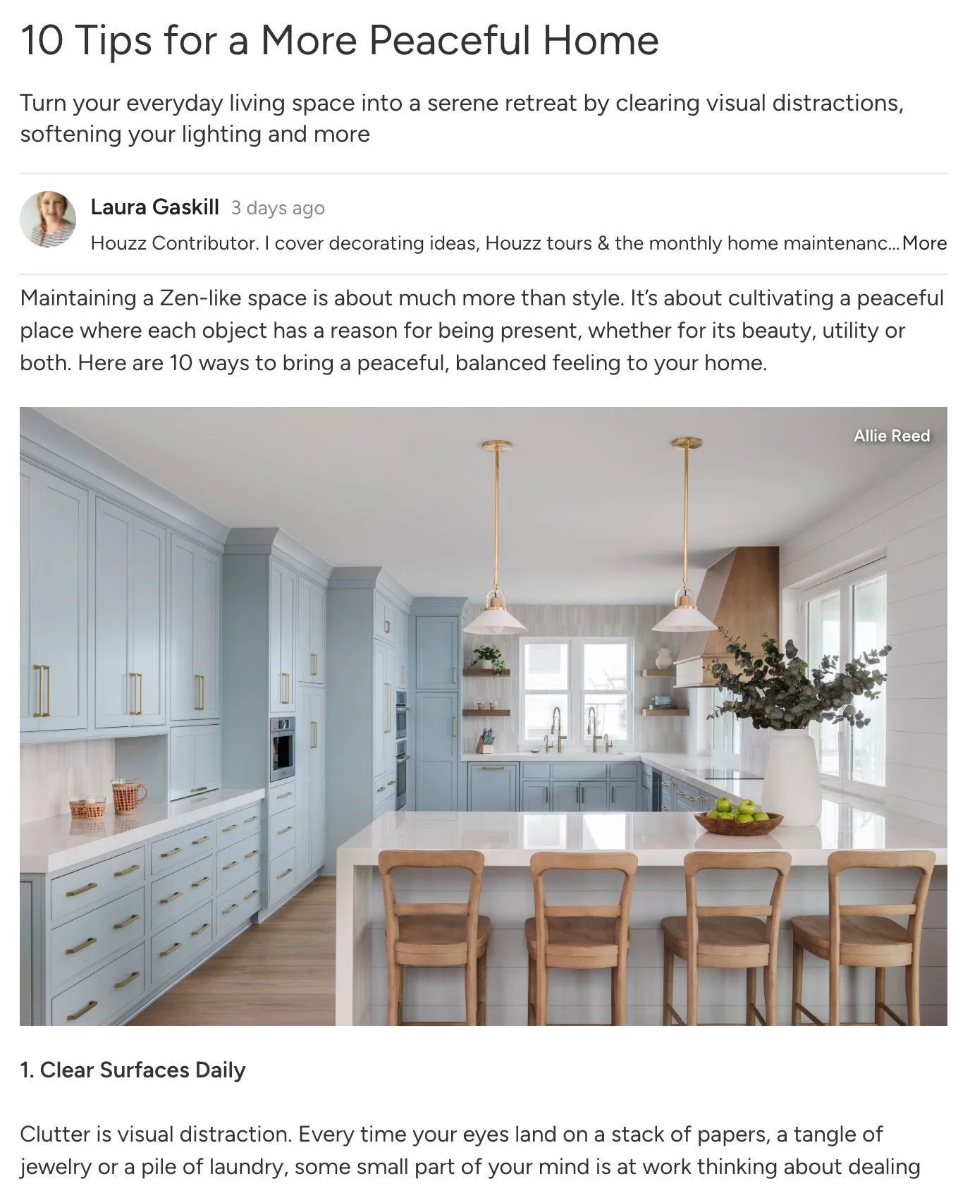 Allie Reed’s Kitchen Design Featured on Houzz