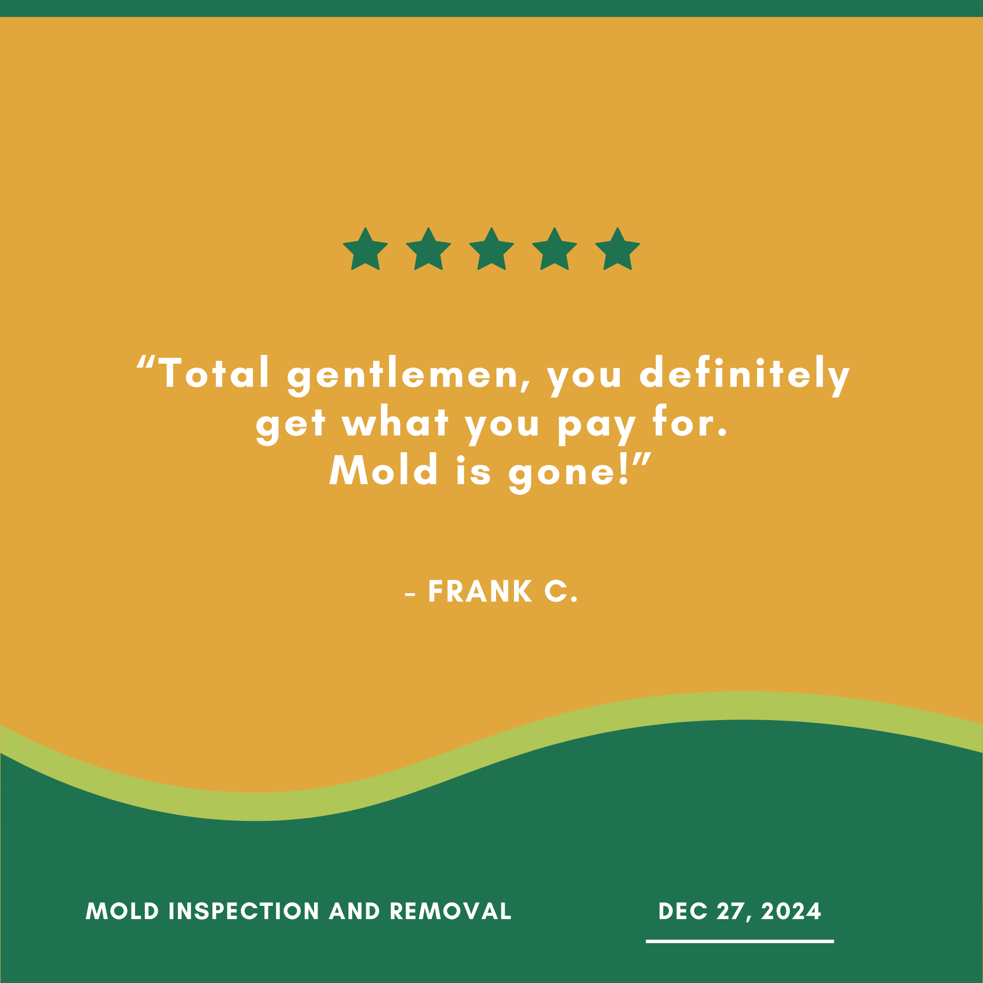 Customer testimonial for mold removal service with five stars, praising professionalism and effectiveness, dated December 27, 2024.