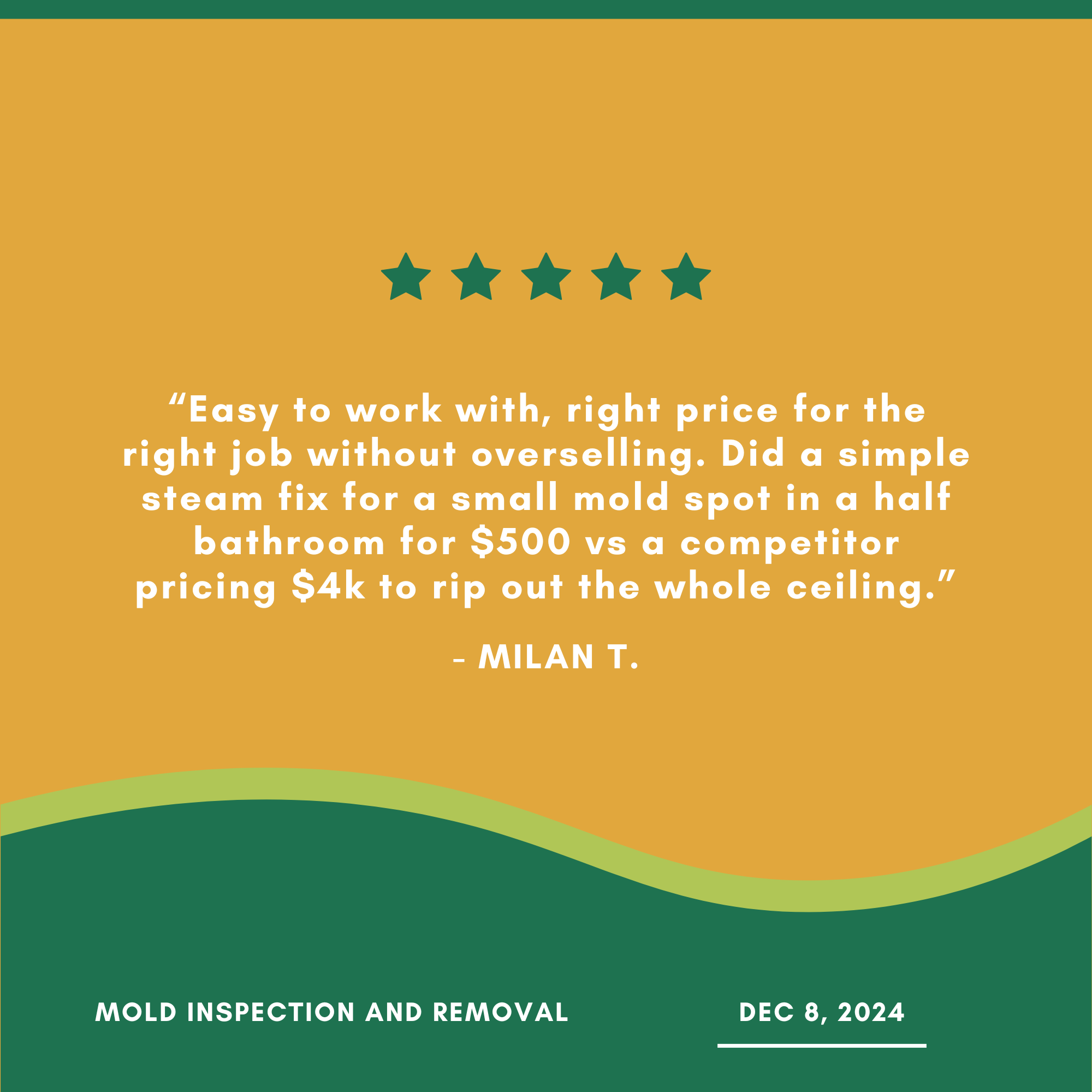 Customer review with five stars and testimonial for mold inspection and removal, highlighting cost-effective service. Includes date Dec 8, 2024.