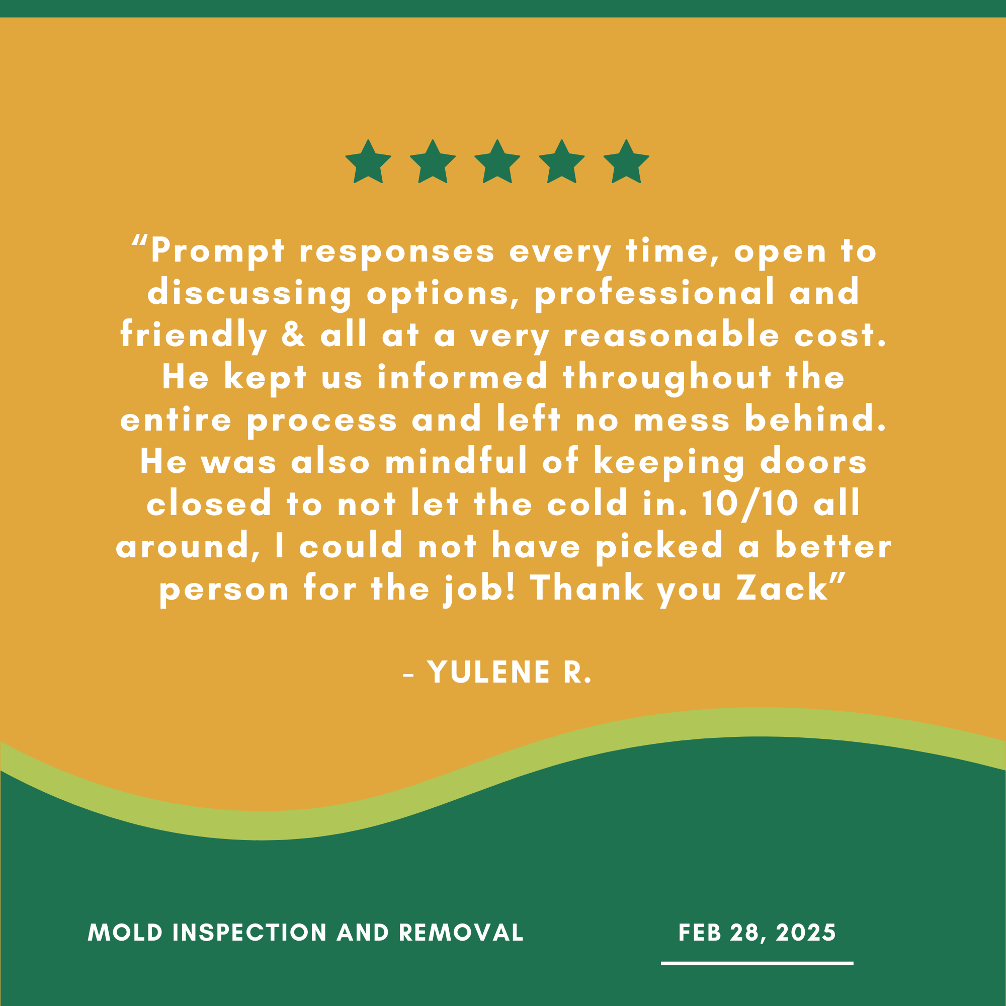 Customer review for mold inspection and removal service featuring a five-star rating, testimonial praising professionalism, reasonable cost, and mindful service. Dated February 28, 2025, signed by Yulene R.