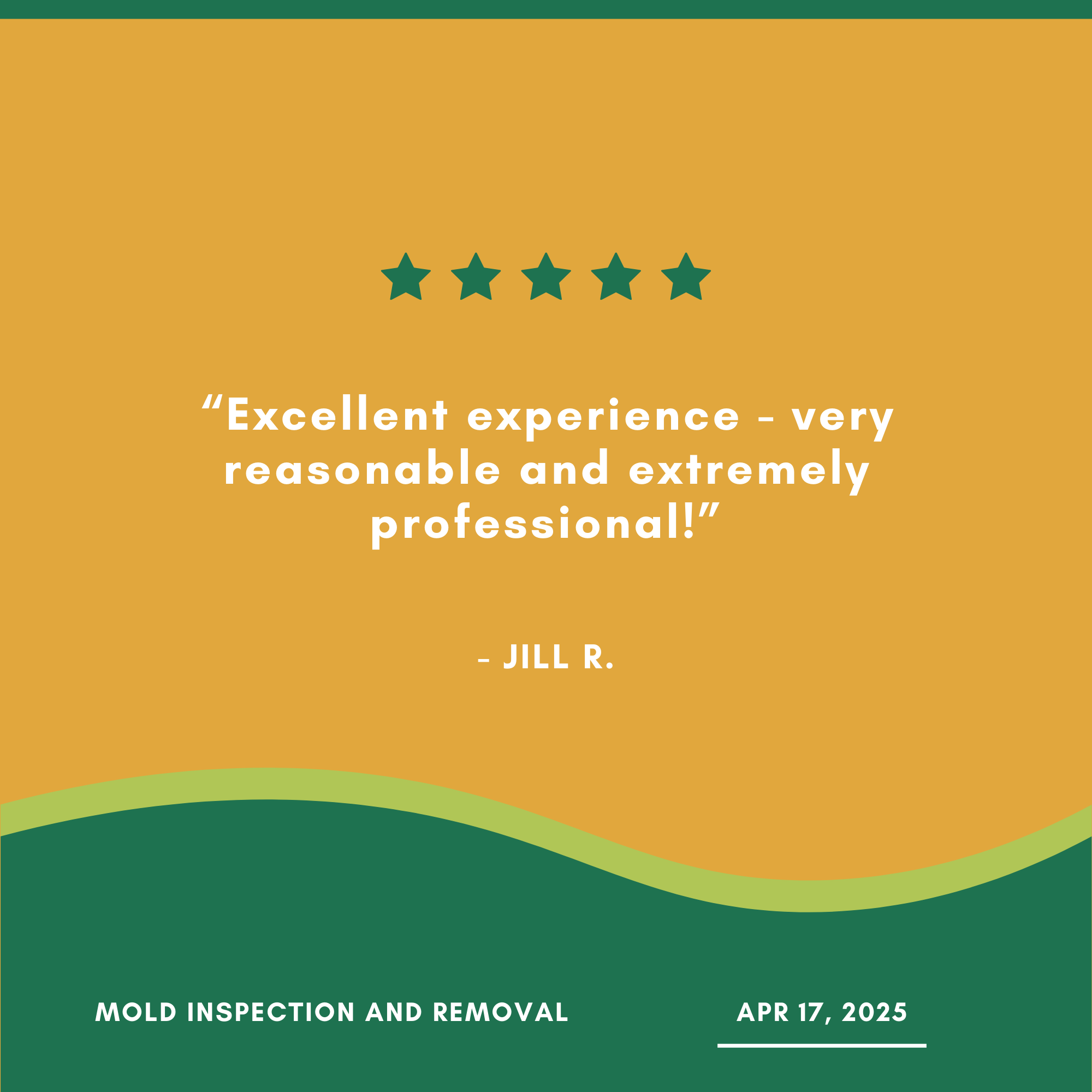 Five-star review graphic on a yellow and green background, with text: "Excellent experience - very reasonable and extremely professional!" attributed to "Jill R." Dated Apr 17, 2025, related to mold inspection and removal.