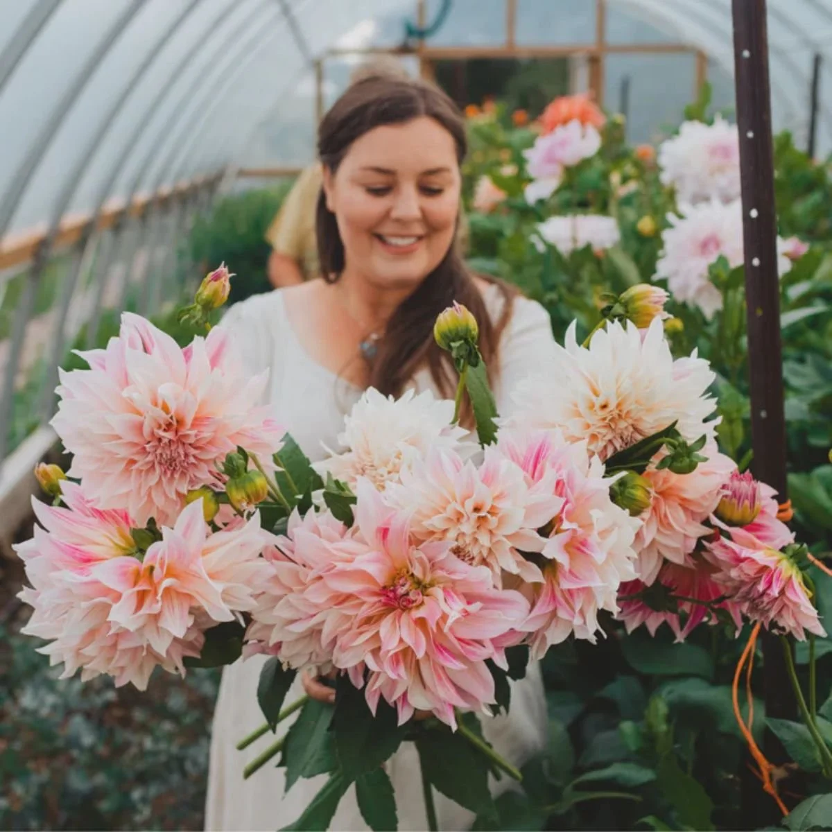 Meeting – Behind the Blooms: The Work of Building a Flower Farm