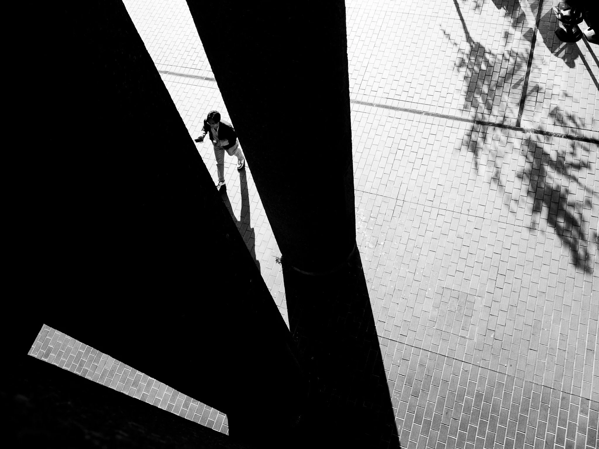 Lines of Light and Shadow