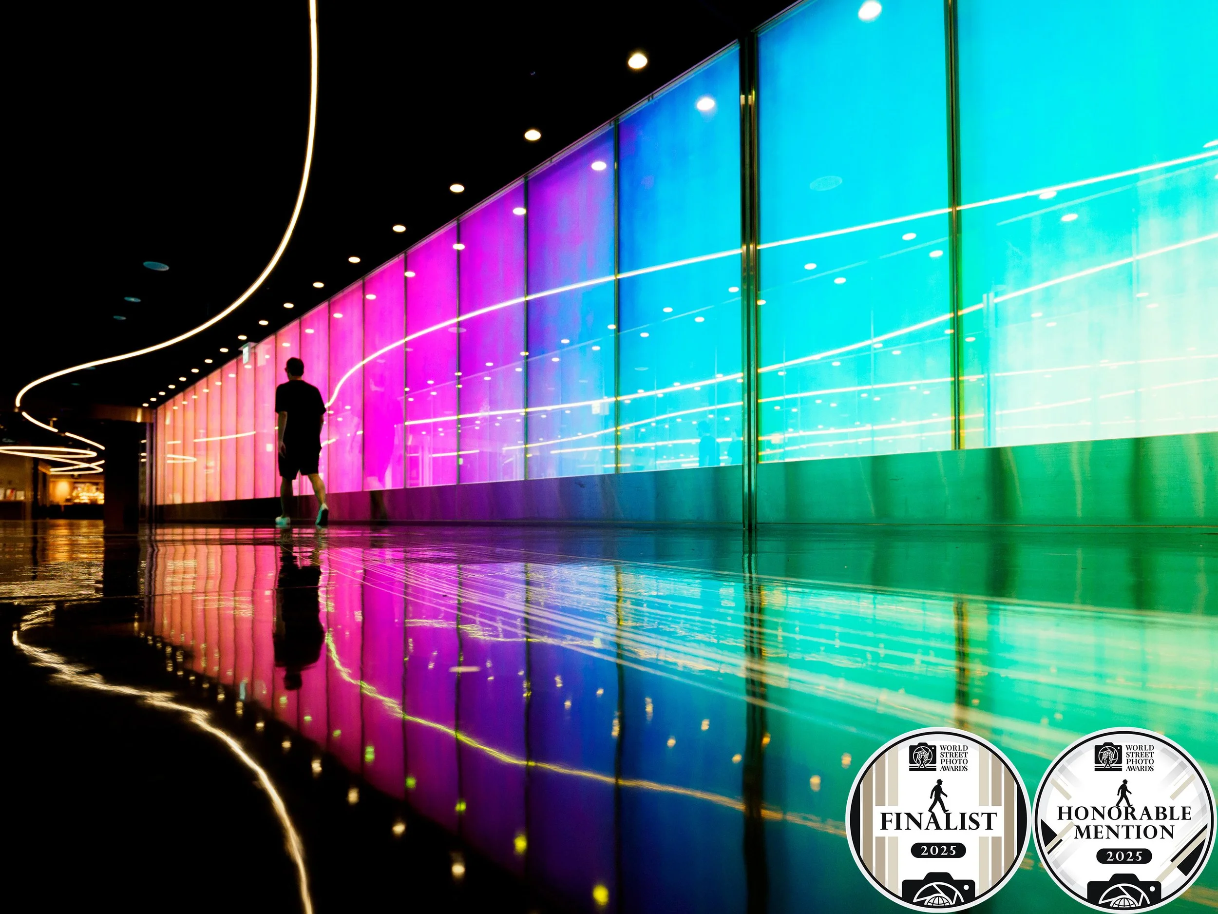 'Reflections of Light and Colour' - Finalist and Honorable Mention