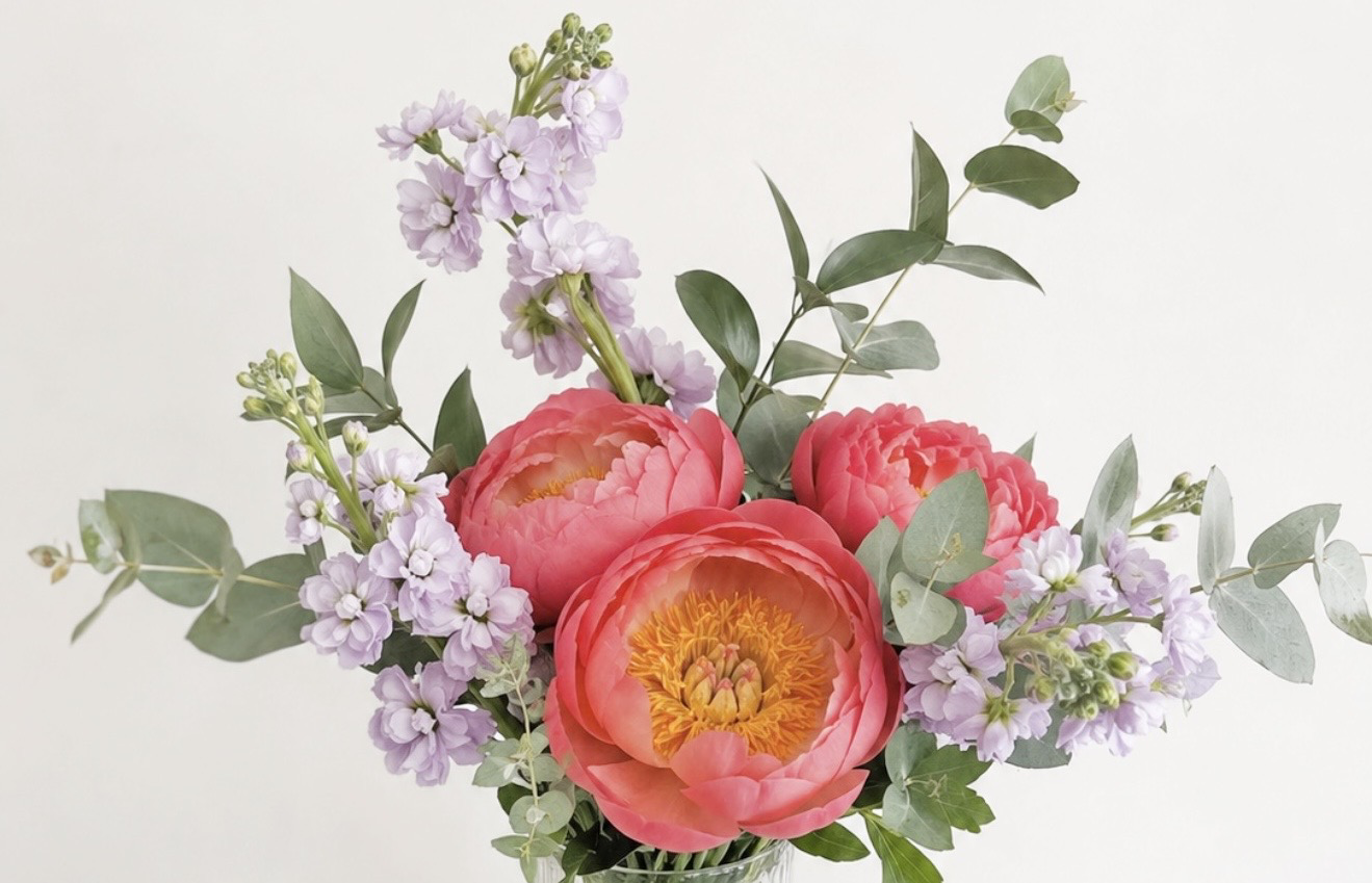 Image 2026-07-20 at 10.17 AM.png