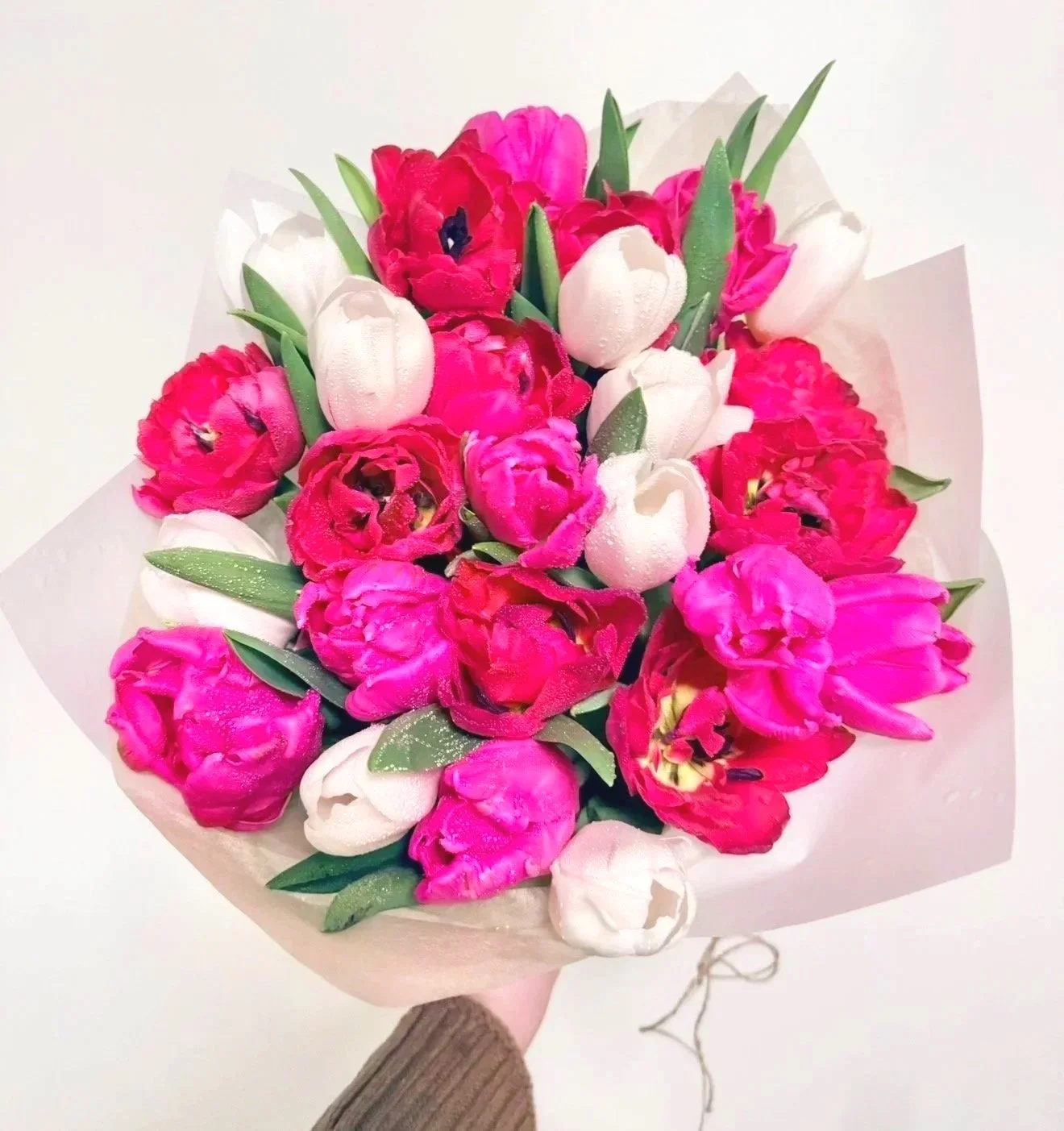 The Tulip Edit - 25 Stem Novelty & Parrot Tulip Bouquet